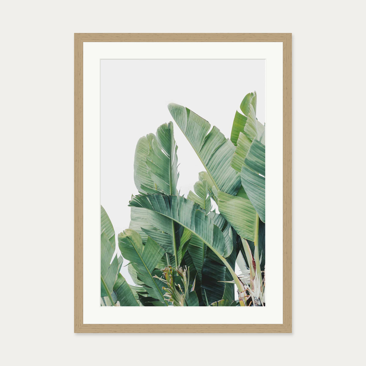 Green Botanical Leaves Wall Art Print — 50 x 70 cm — Oak Frame