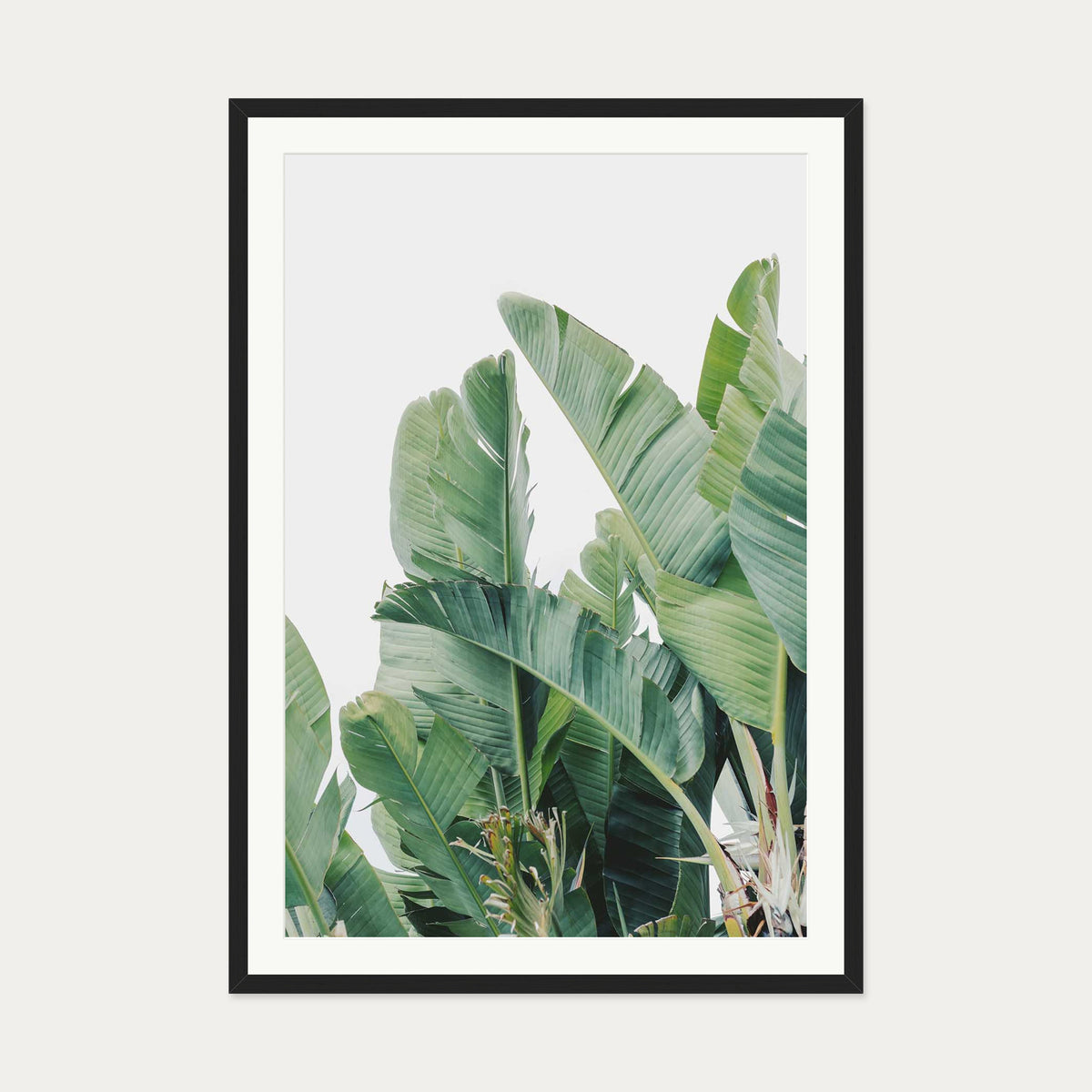 Green Botanical Leaves Wall Art Print — 70 x 100 cm — Black Frame