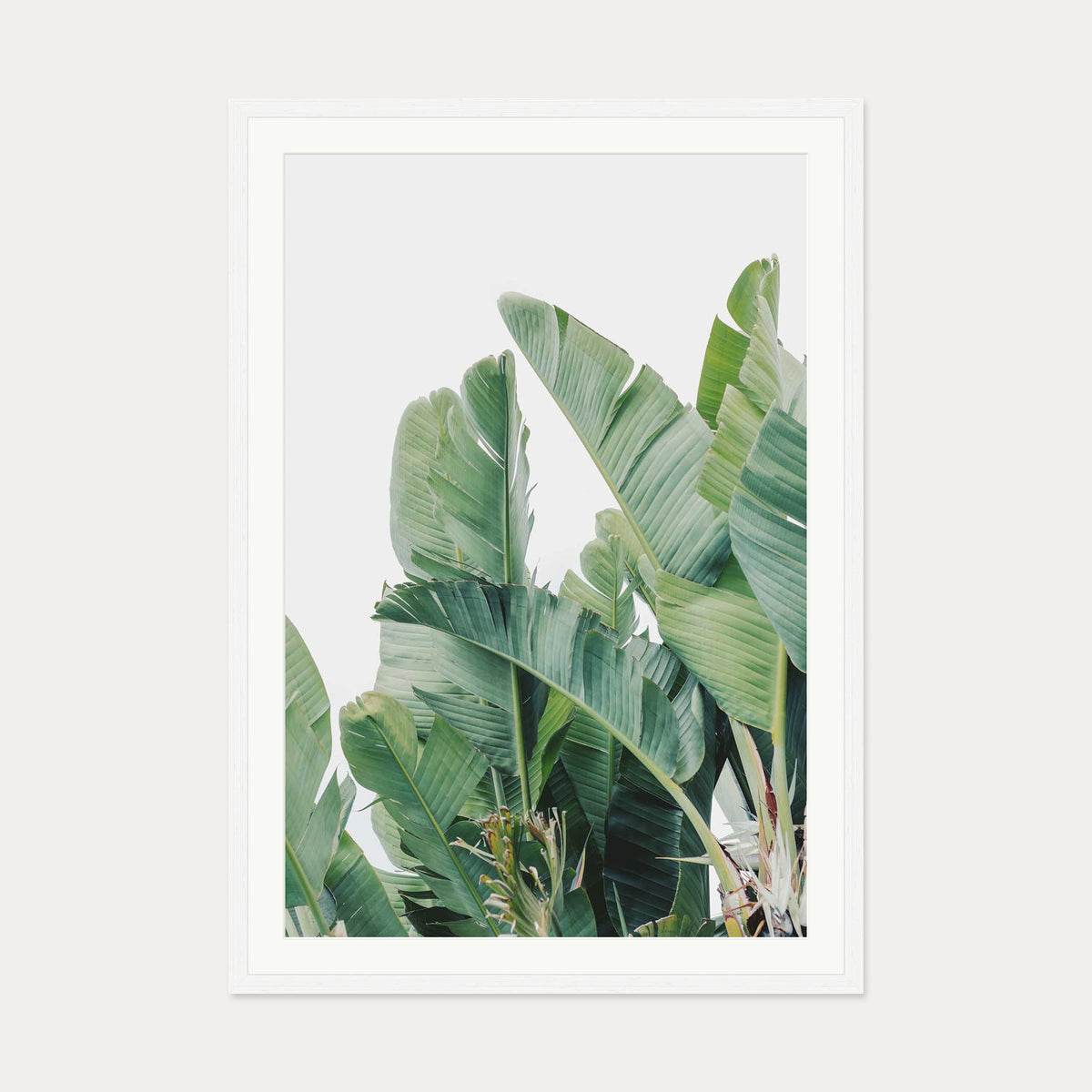 Green Botanical Leaves Wall Art Print — 70 x 100 cm — White Frame