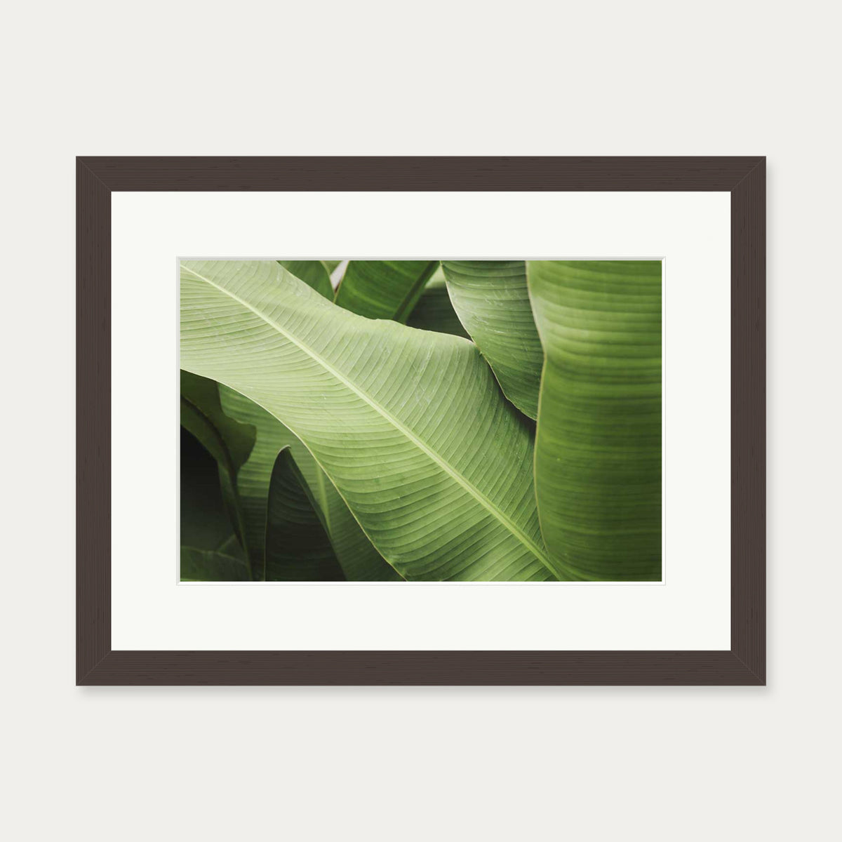 Green Botanical Wall Art Print — 30 x 40 cm — Brown Frame