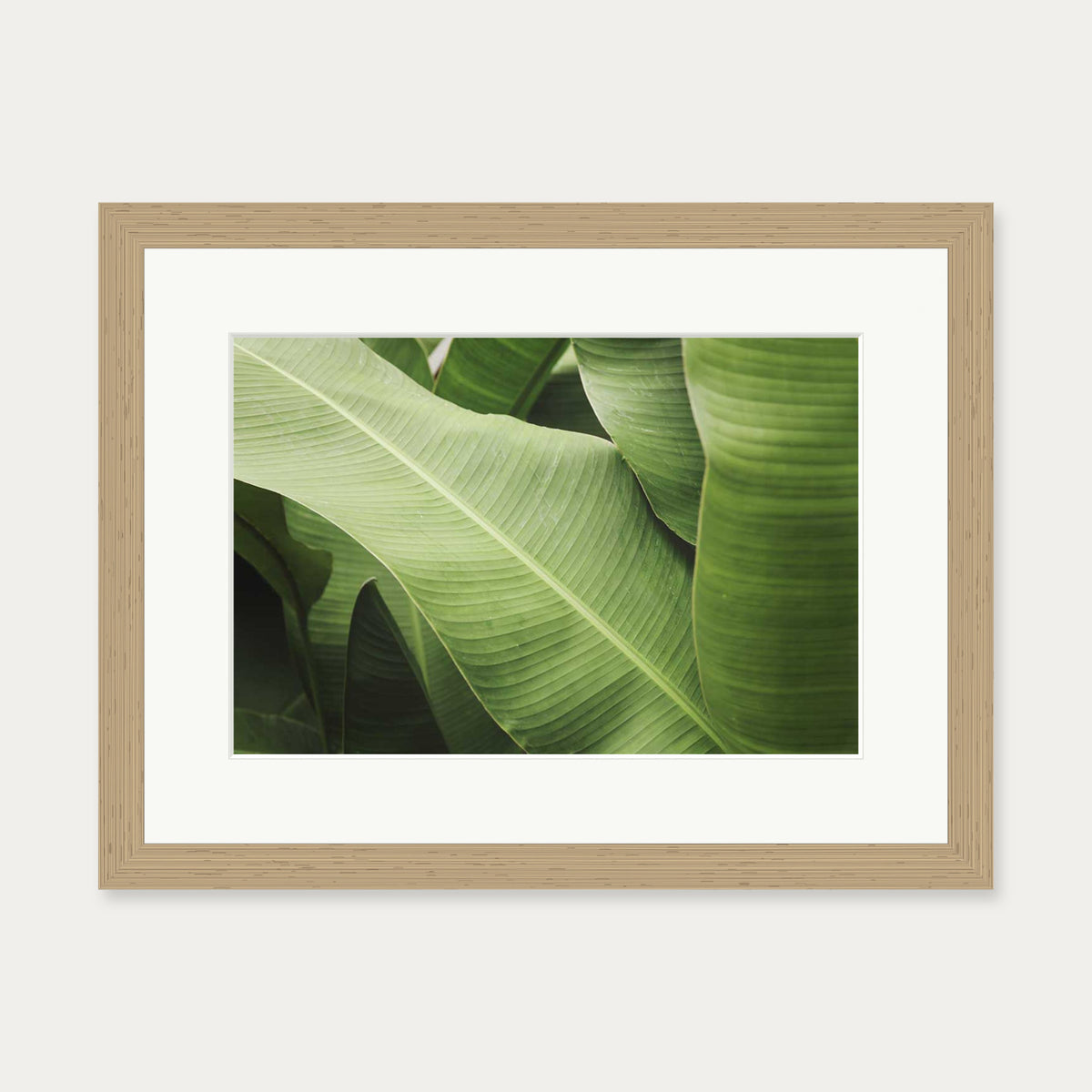Green Botanical Wall Art Print — 30 x 40 cm — Oak Frame