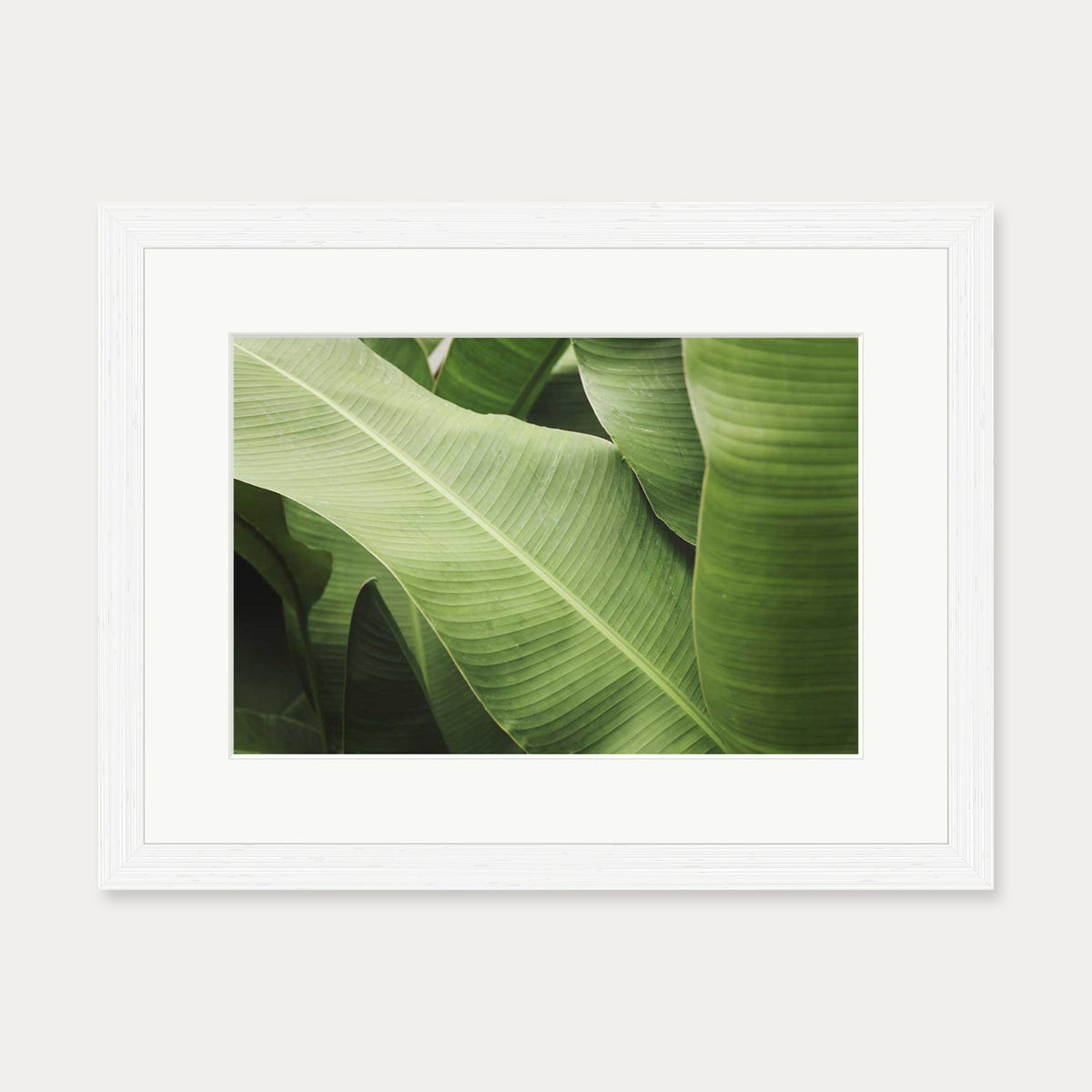 Green Botanical Wall Art Print — 30 x 40 cm — White Frame