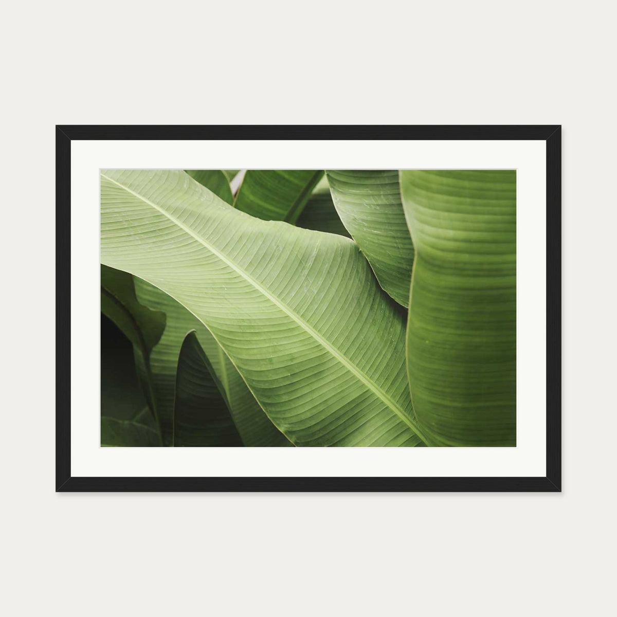 Green Botanical Wall Art Print — 50 x 70 cm — Black Frame