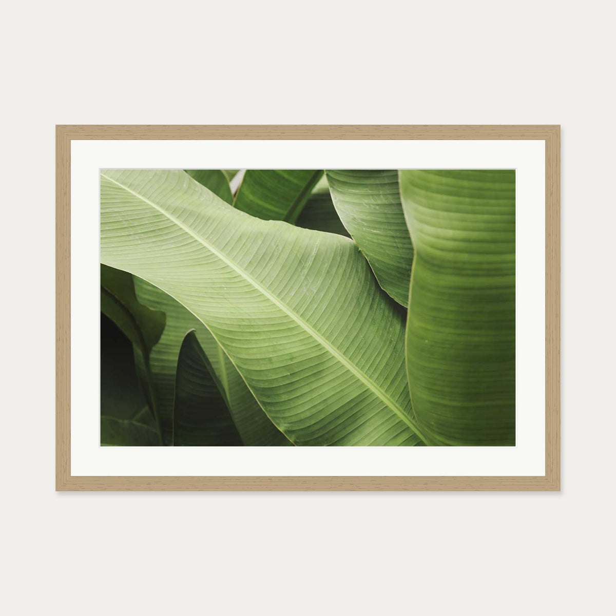 Green Botanical Wall Art Print — 50 x 70 cm — Oak Frame