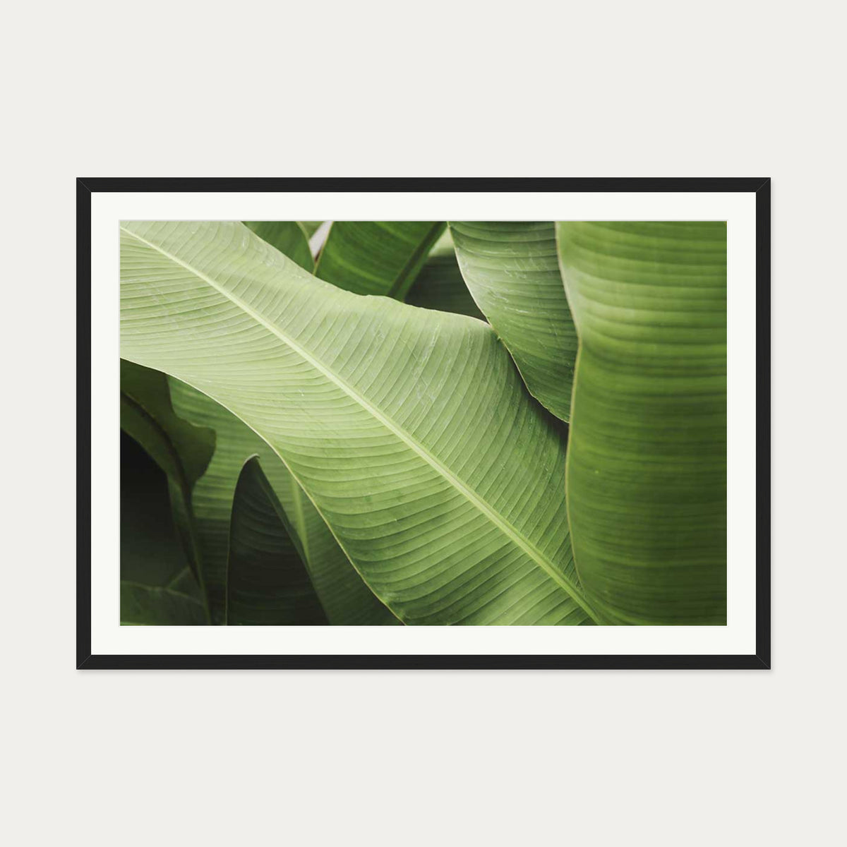 Green Botanical Wall Art Print — 70 x 100 cm — Black Frame