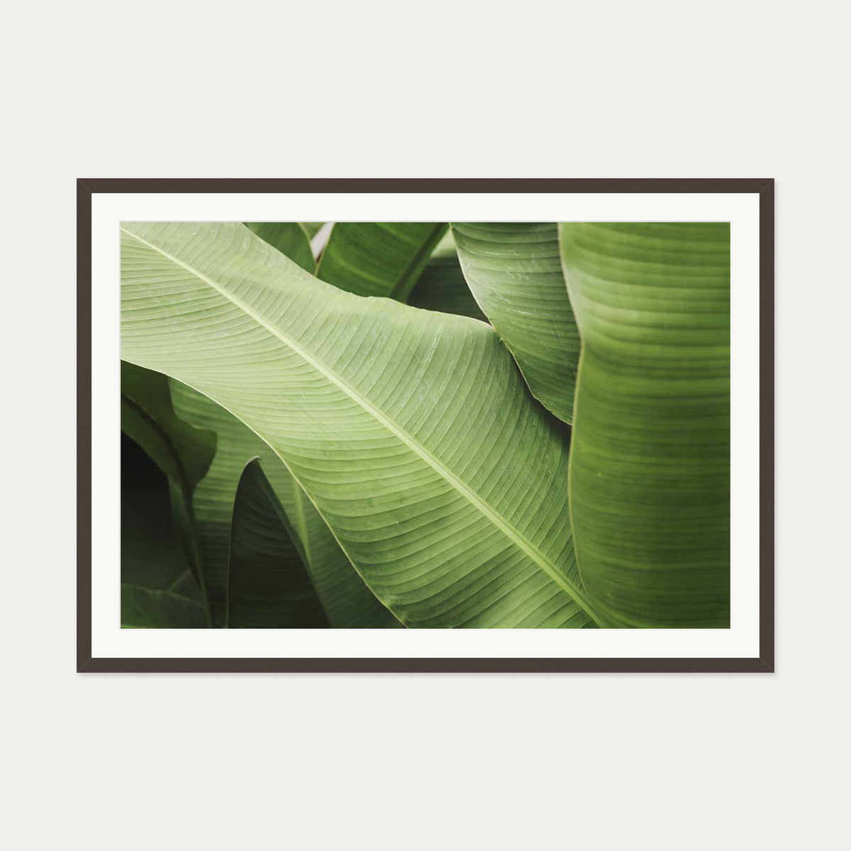Green Botanical Wall Art Print — 70 x 100 cm — Brown Frame