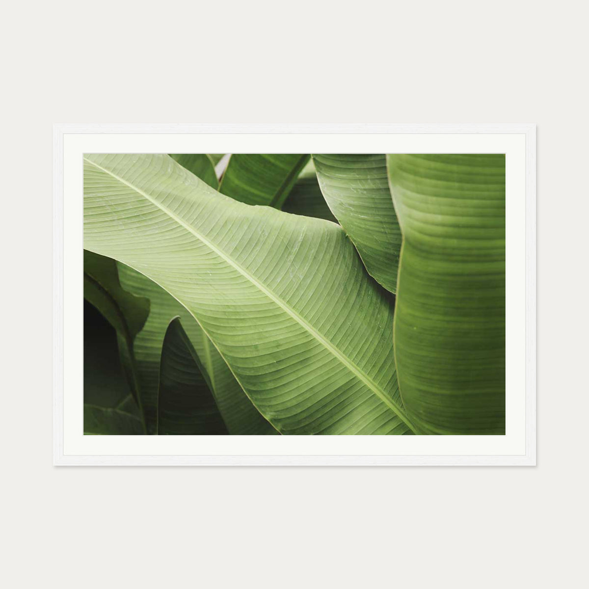 Green Botanical Wall Art Print — 70 x 100 cm — White Frame