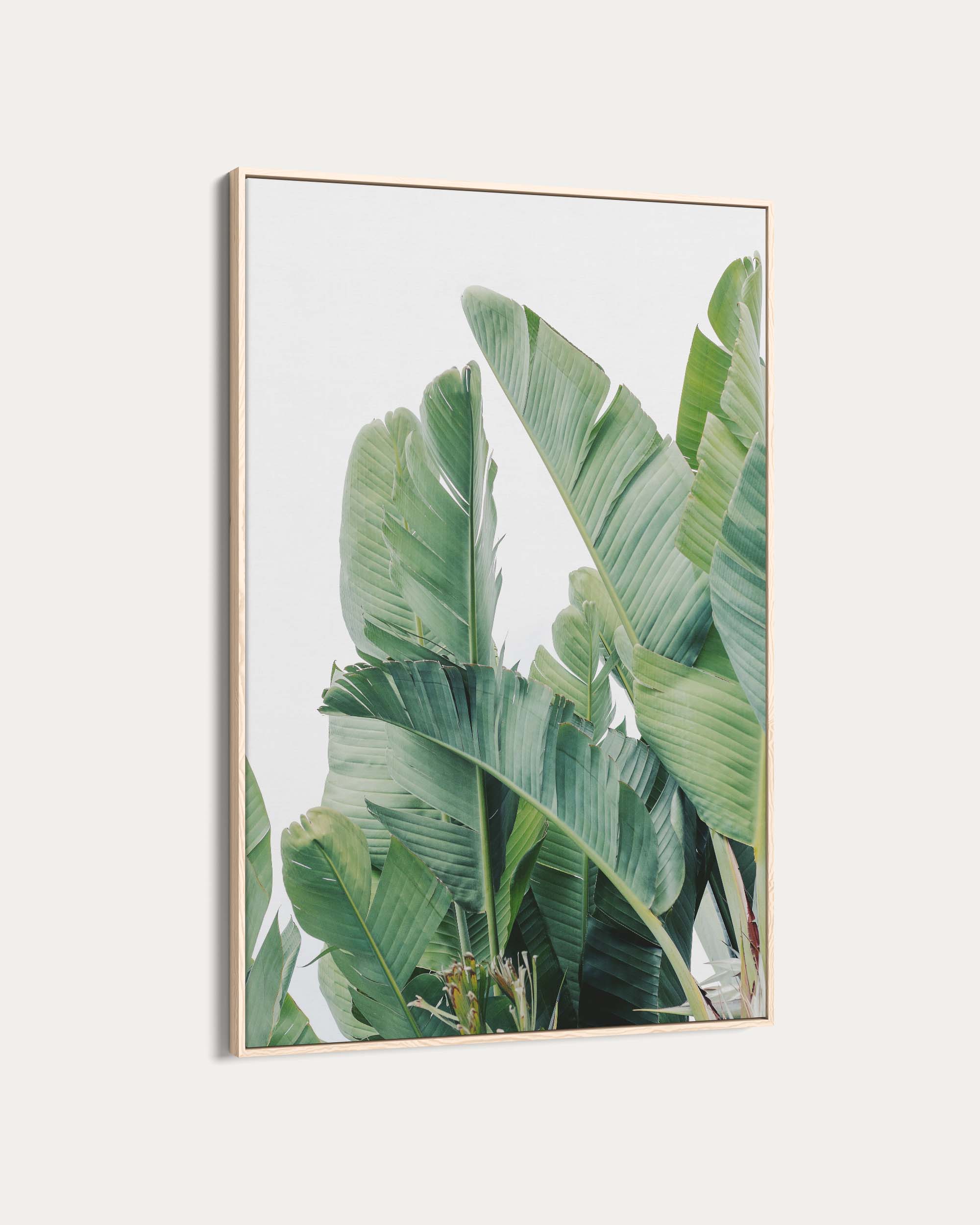 Green Botanical Leaves Wall Art Print
