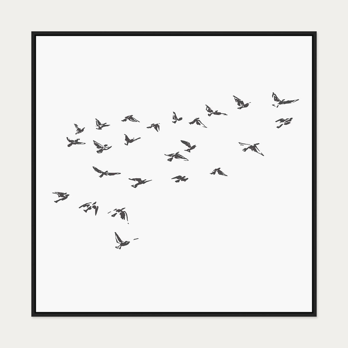 Grey Bird Sketches Canvas Art — 100 x 100 cm — Black Frame
