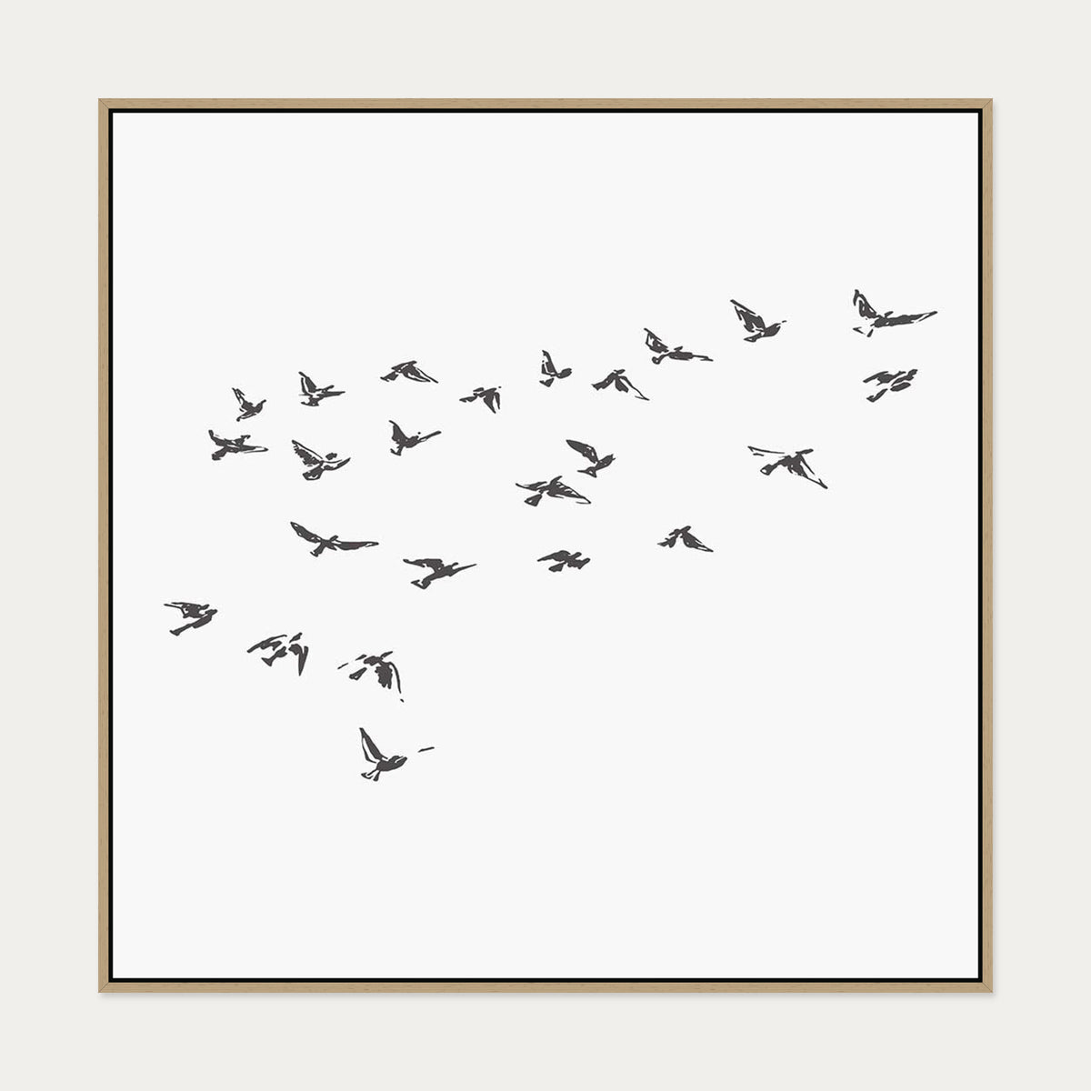 Grey Bird Sketches Canvas Art — 100 x 100 cm — Oak Frame