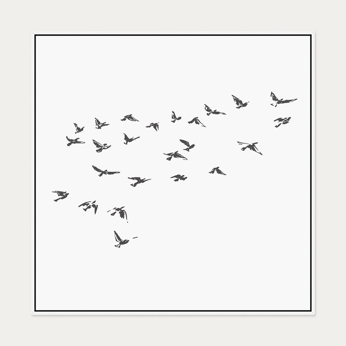 Grey Bird Sketches Canvas Art — 100 x 100 cm — White Frame