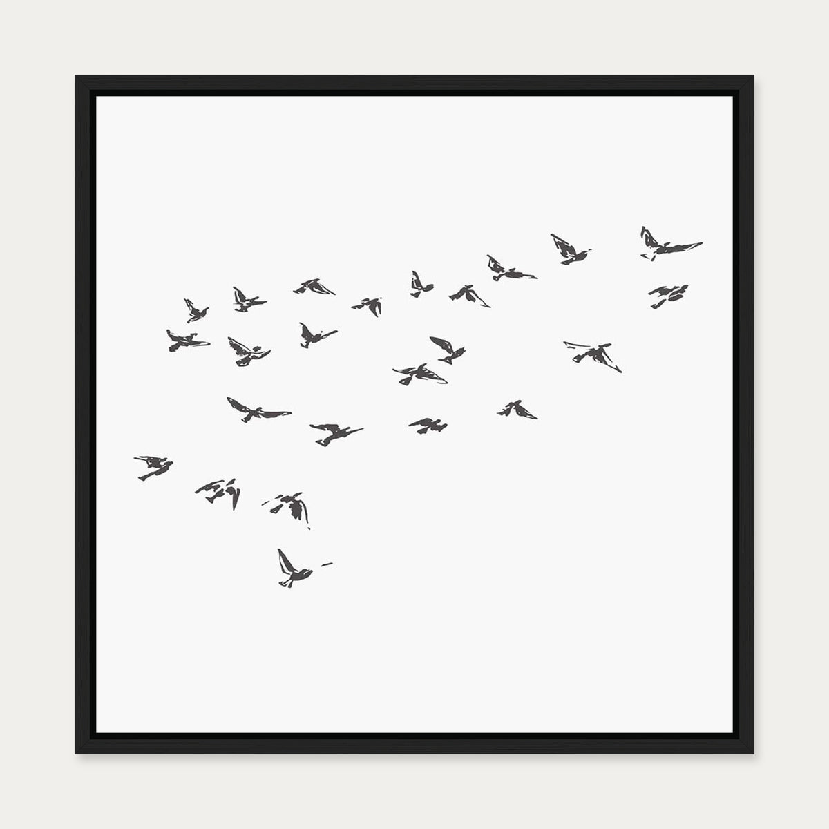 Grey Bird Sketches Canvas Art — 50 x 50 cm — Black Frame