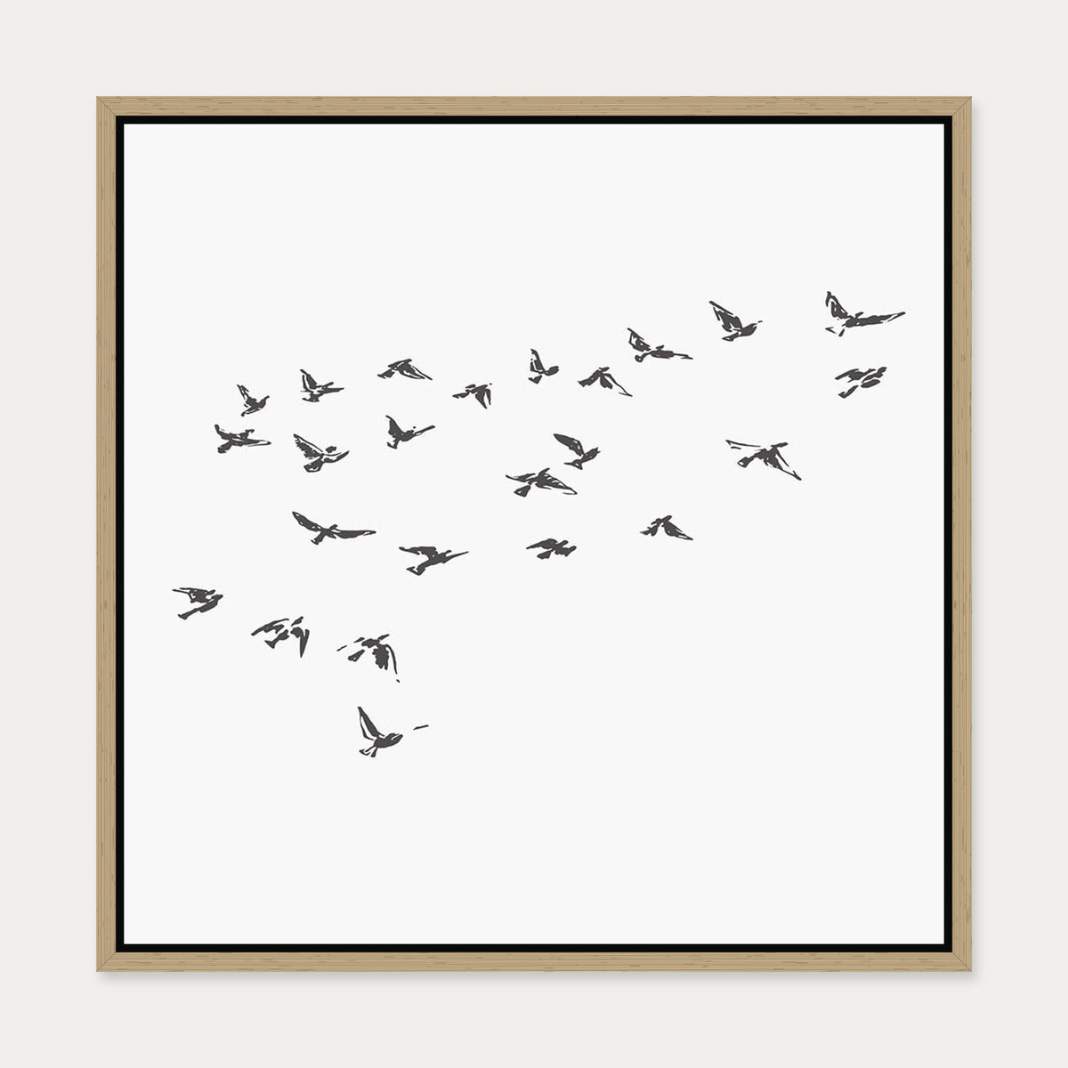 Grey Bird Sketches Canvas Art — 50 x 50 cm — Oak Frame