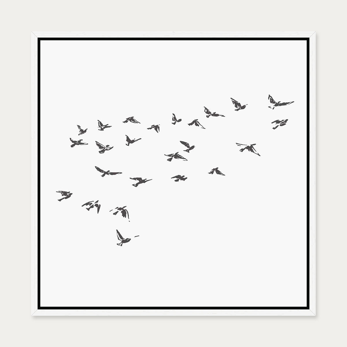 Grey Bird Sketches Canvas Art — 50 x 50 cm — White Frame
