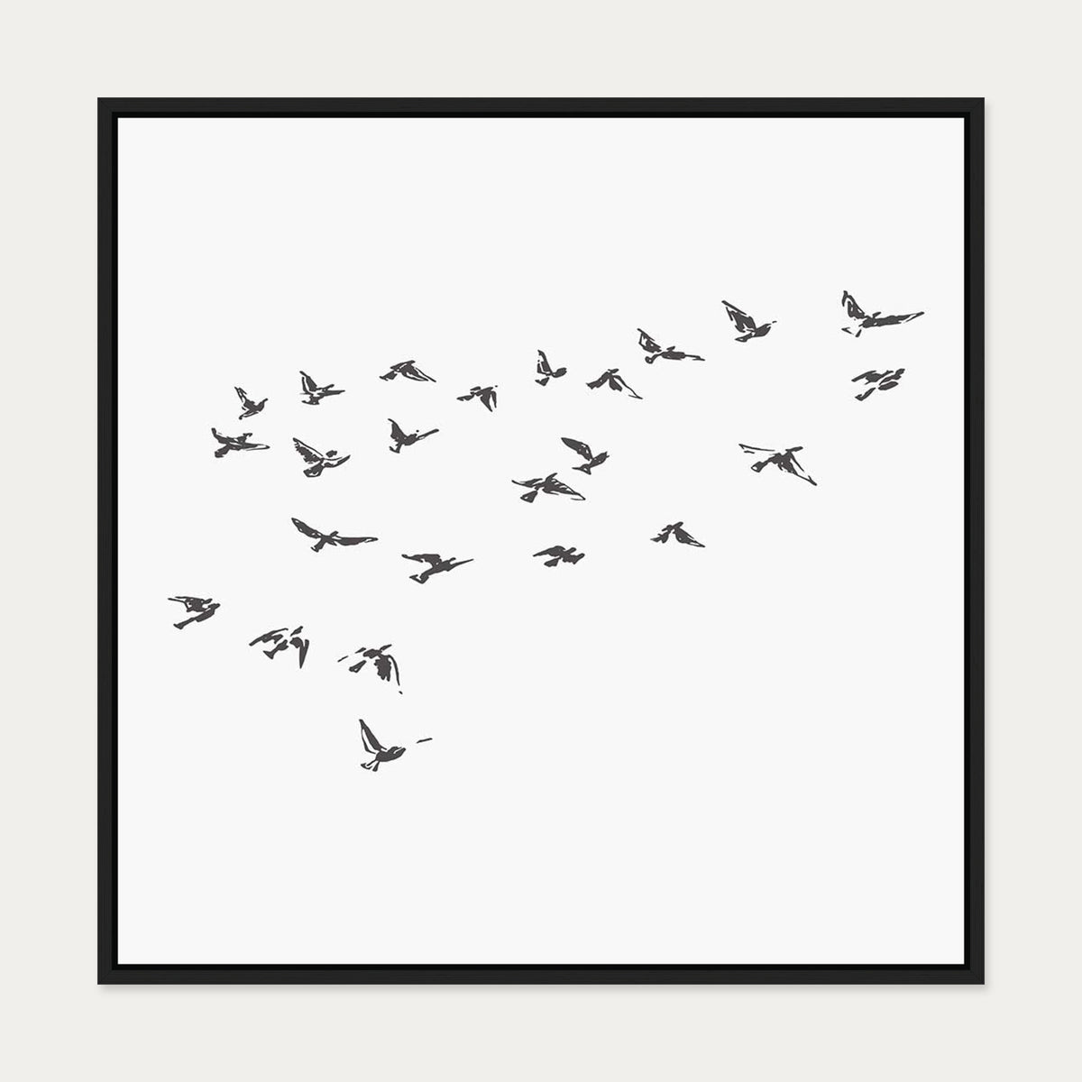 Grey Bird Sketches Canvas Art — 70 x 70 cm — Black Frame