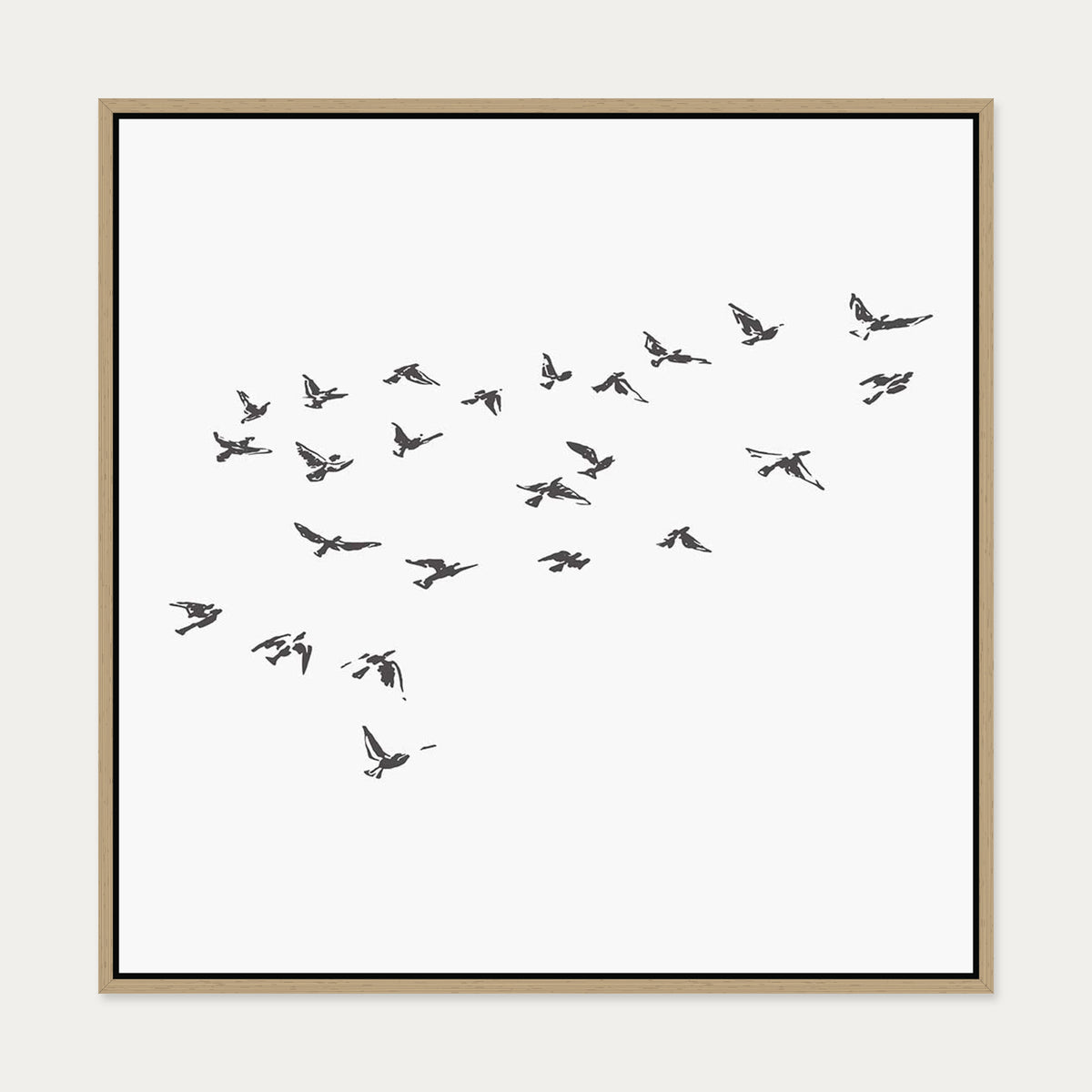 Grey Bird Sketches Canvas Art — 70 x 70 cm — Oak Frame