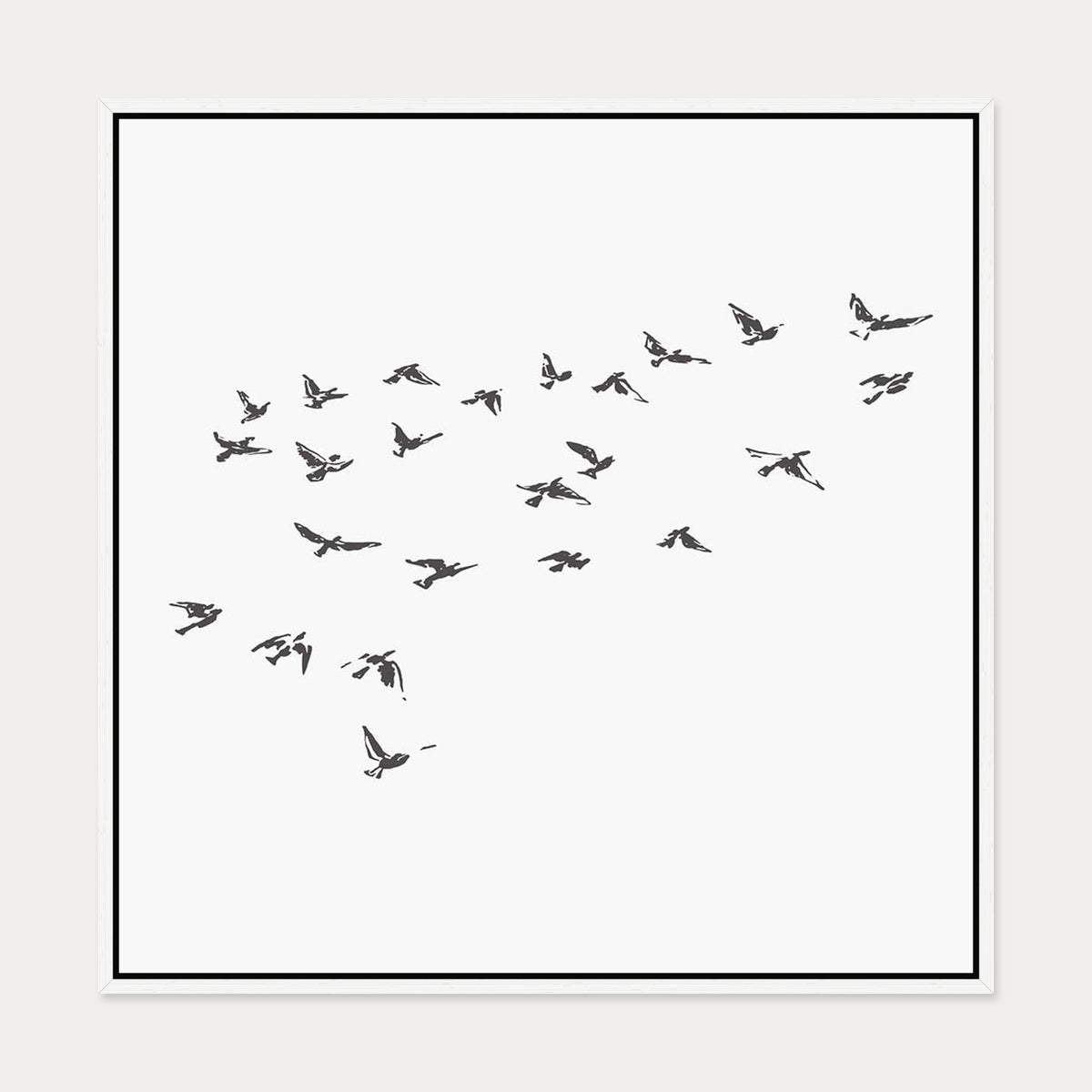 Grey Bird Sketches Canvas Art — 70 x 70 cm — White Frame