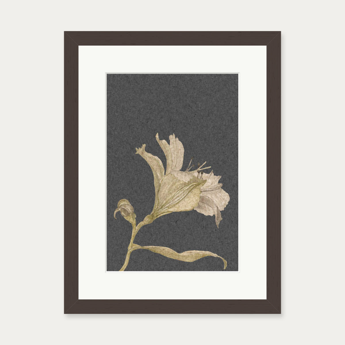 Grey Vintage Floral Stem Art Print — 30 x 40 cm — Brown Frame