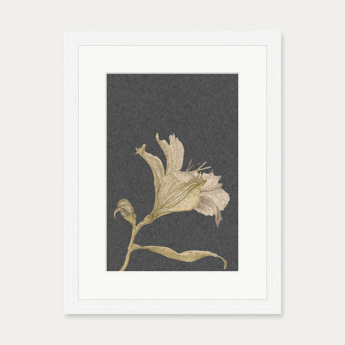 Grey Vintage Floral Stem Art Print — 30 x 40 cm — White Frame