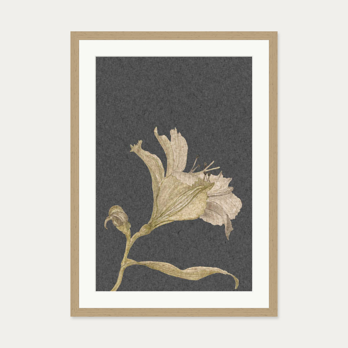 Grey Vintage Floral Stem Art Print — 50 x 70 cm — Oak Frame