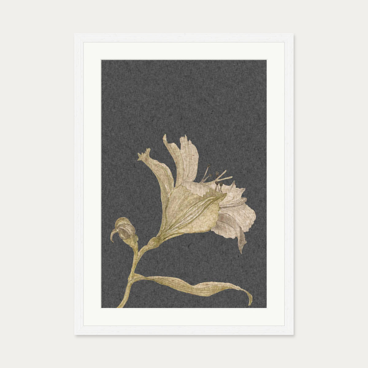 Grey Vintage Floral Stem Art Print — 50 x 70 cm — White Frame