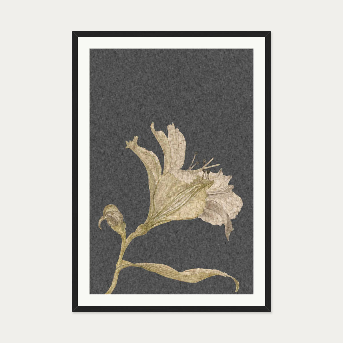 Grey Vintage Floral Stem Art Print — 70 x 100 cm — Black Frame