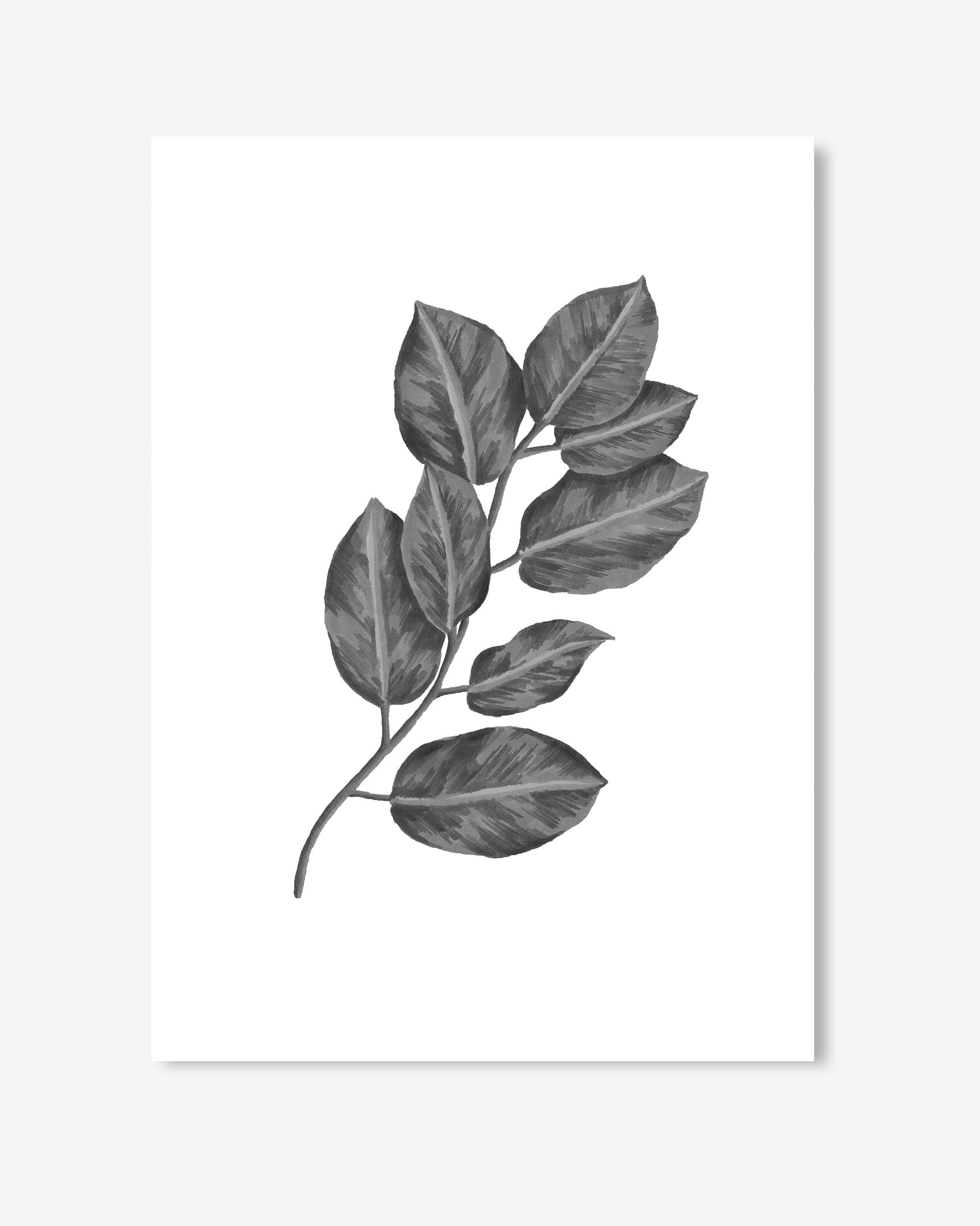 Black and white illustration of a leafy branch on a white background
