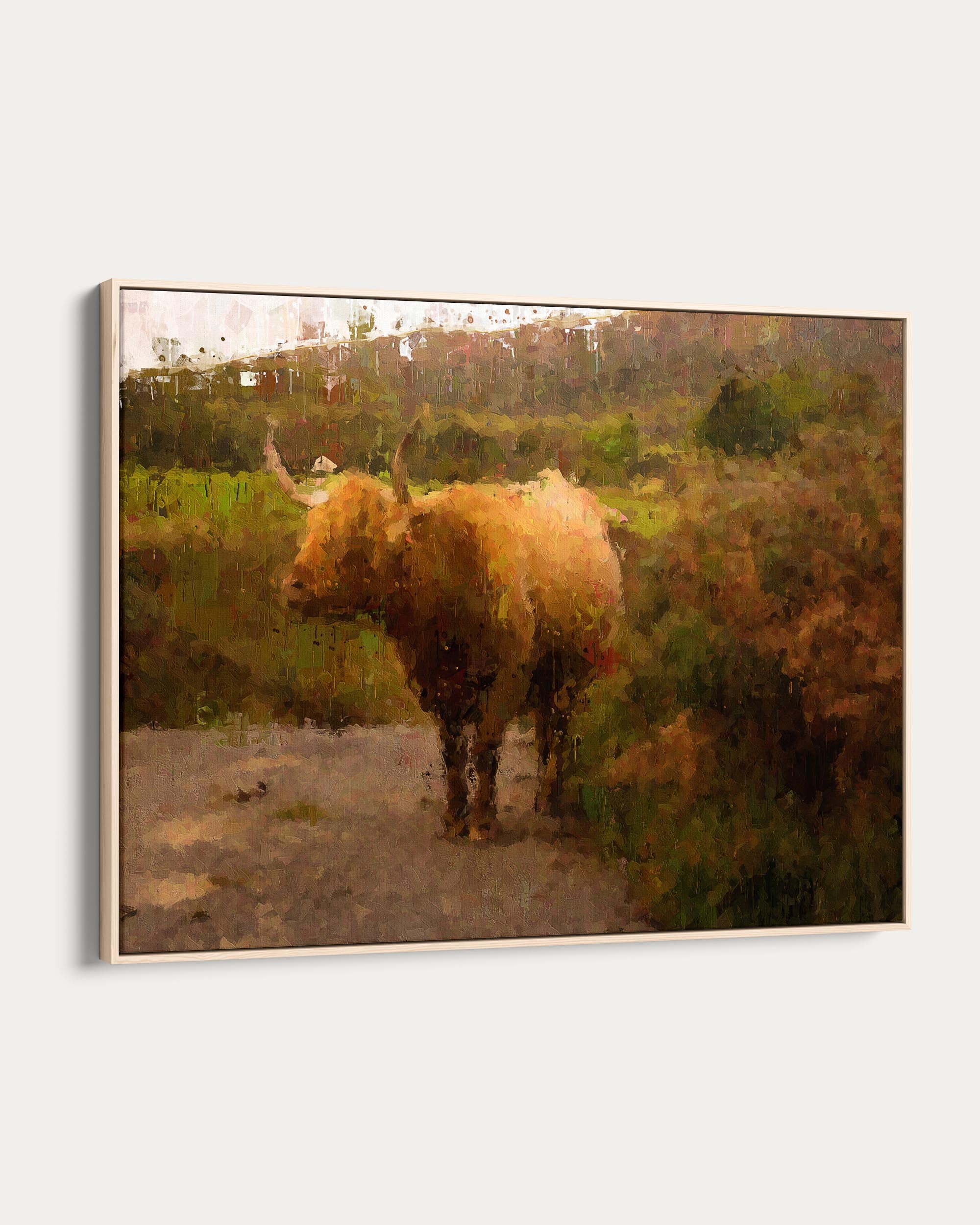 Highland Cow Oil Painting Print On Canvas