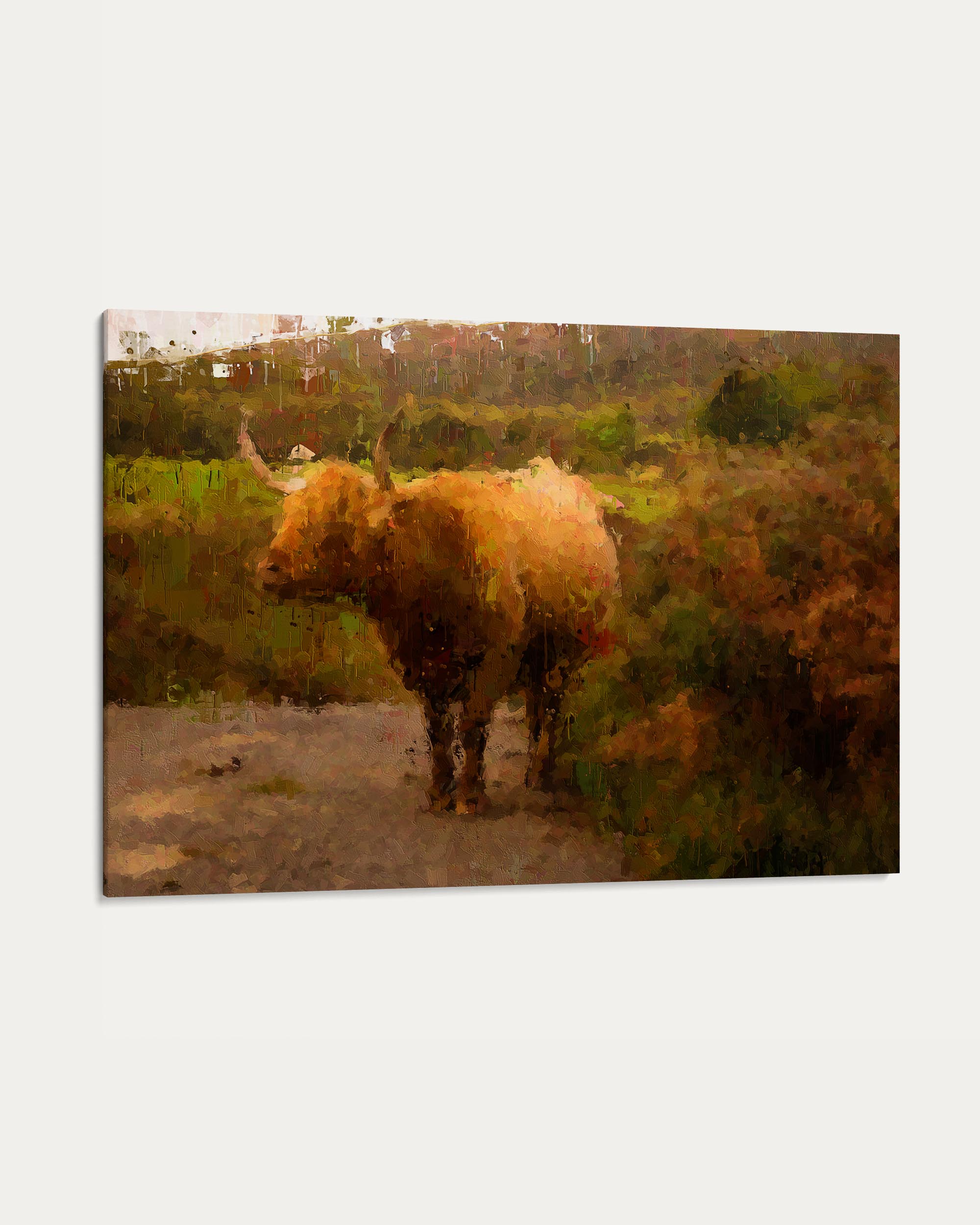 Highland Cow Oil Painting Print On Canvas