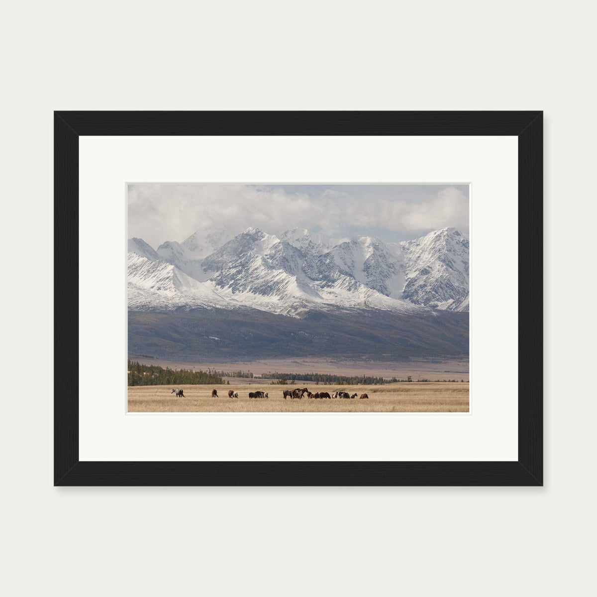 Horses In A Field Art Print — 30 x 40 cm — Black Frame