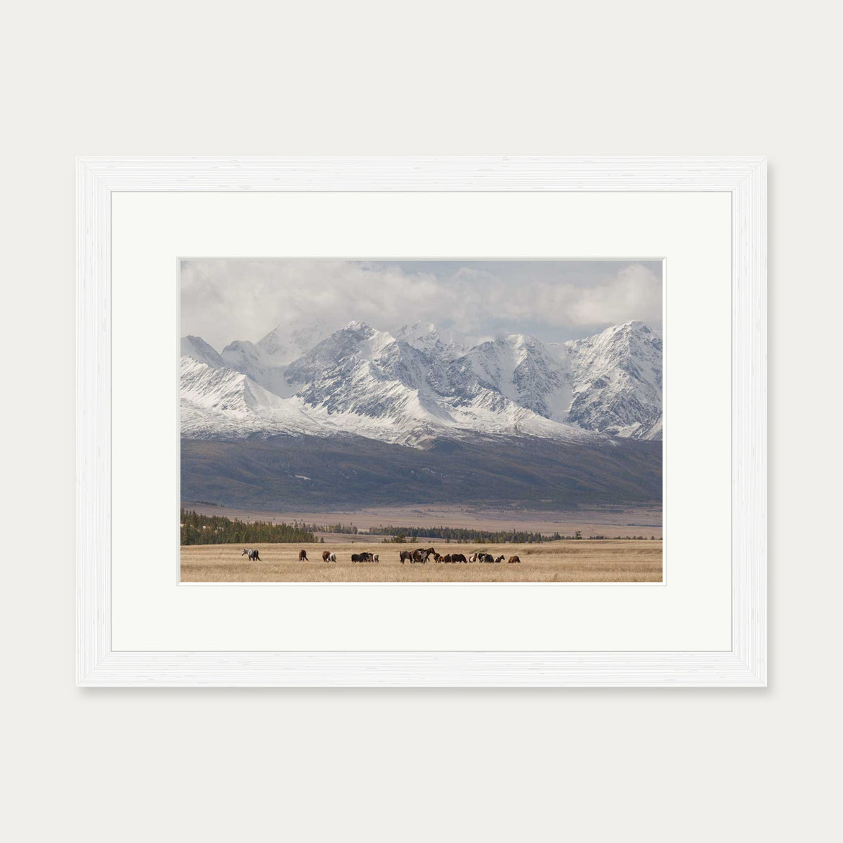 Horses In A Field Art Print — 30 x 40 cm — White Frame