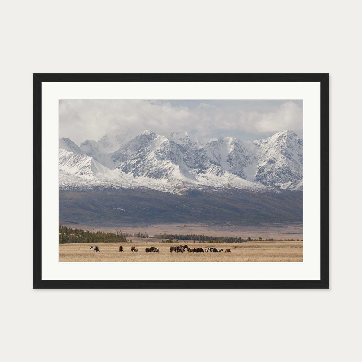 Horses In A Field Art Print — 50 x 70 cm — Black Frame