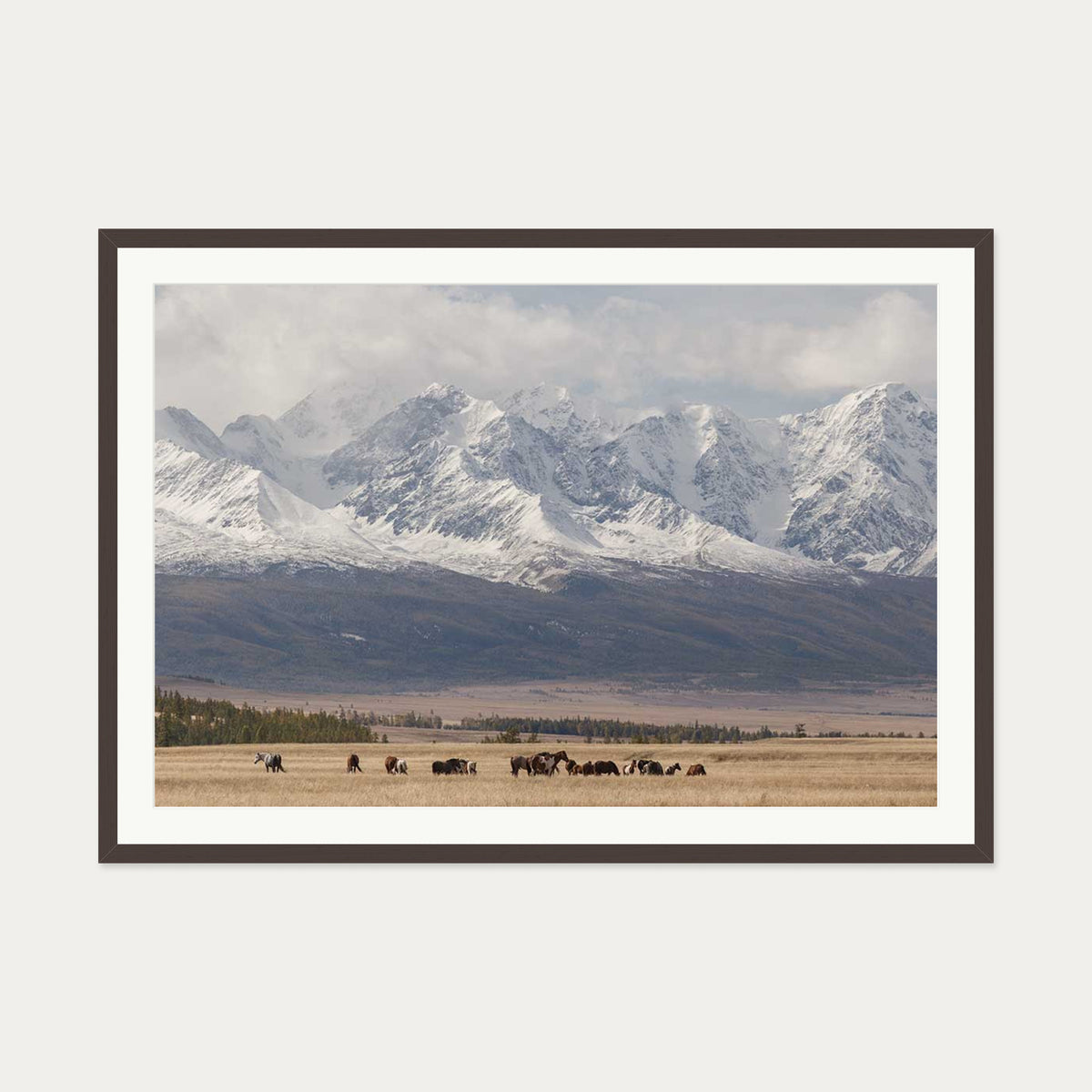 Horses In A Field Art Print — 70 x 100 cm — Brown Frame