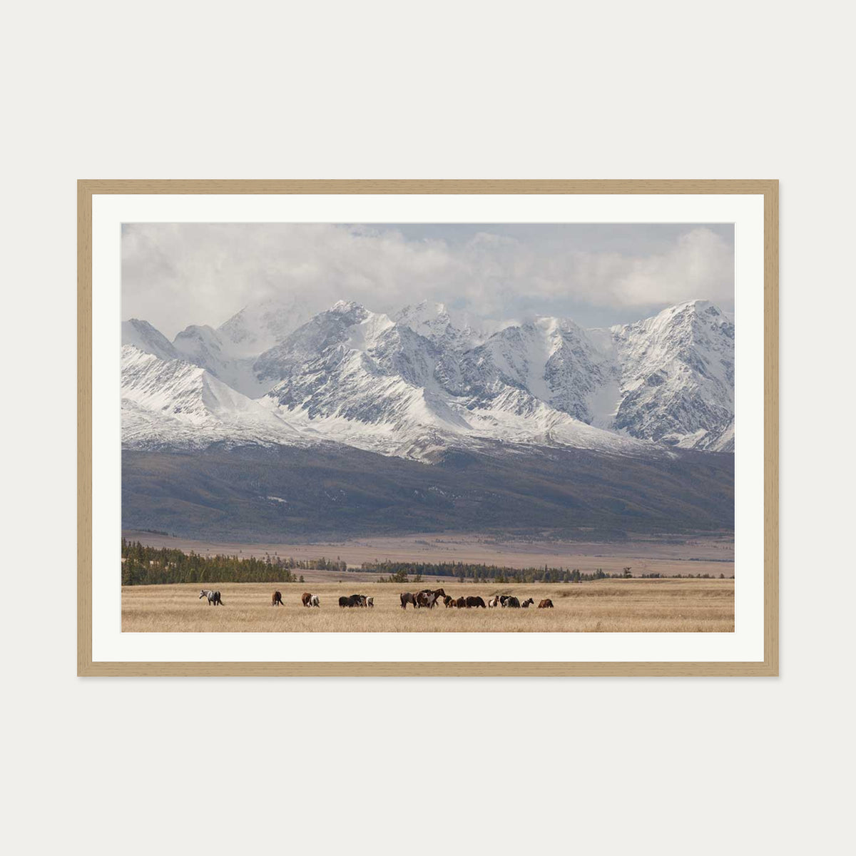 Horses In A Field Art Print — 70 x 100 cm — Oak Frame