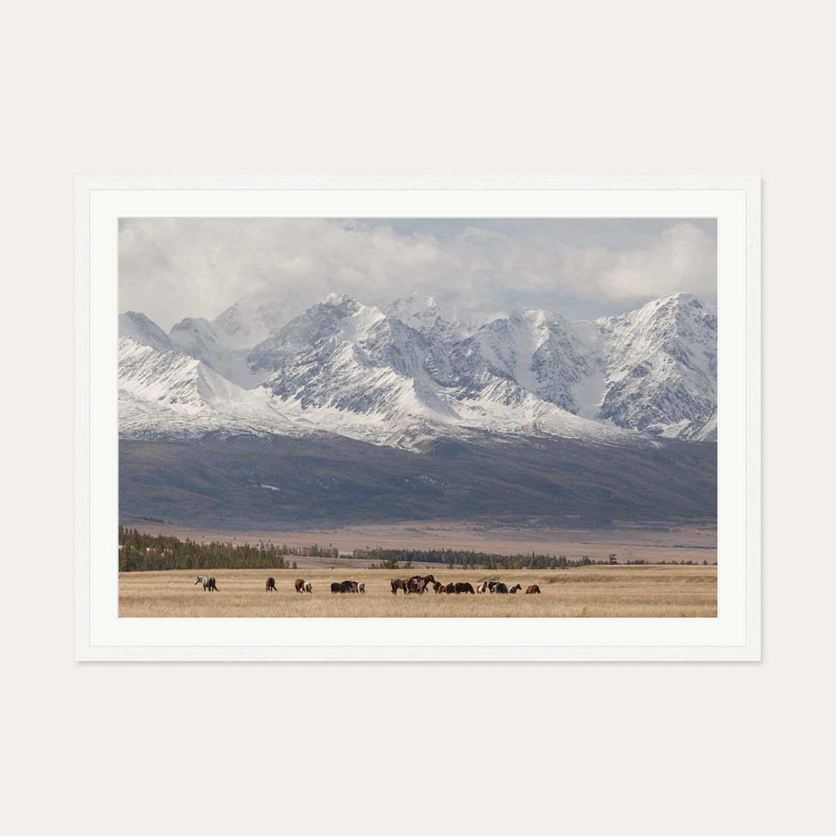 Horses In A Field Art Print — 70 x 100 cm — White Frame