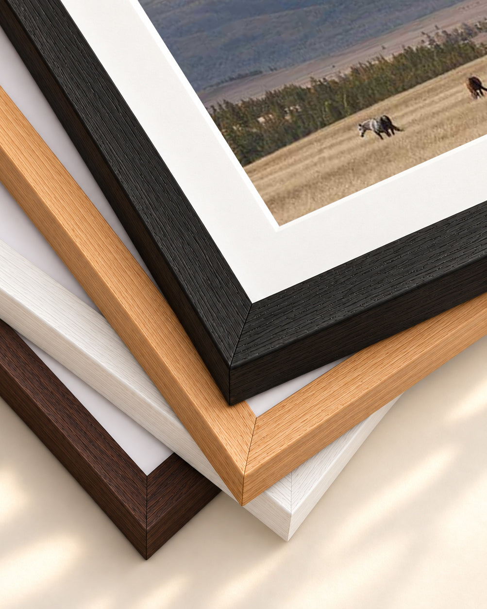 Horses In A Field Art Print — framed print corner with 5 cm mount and bevel