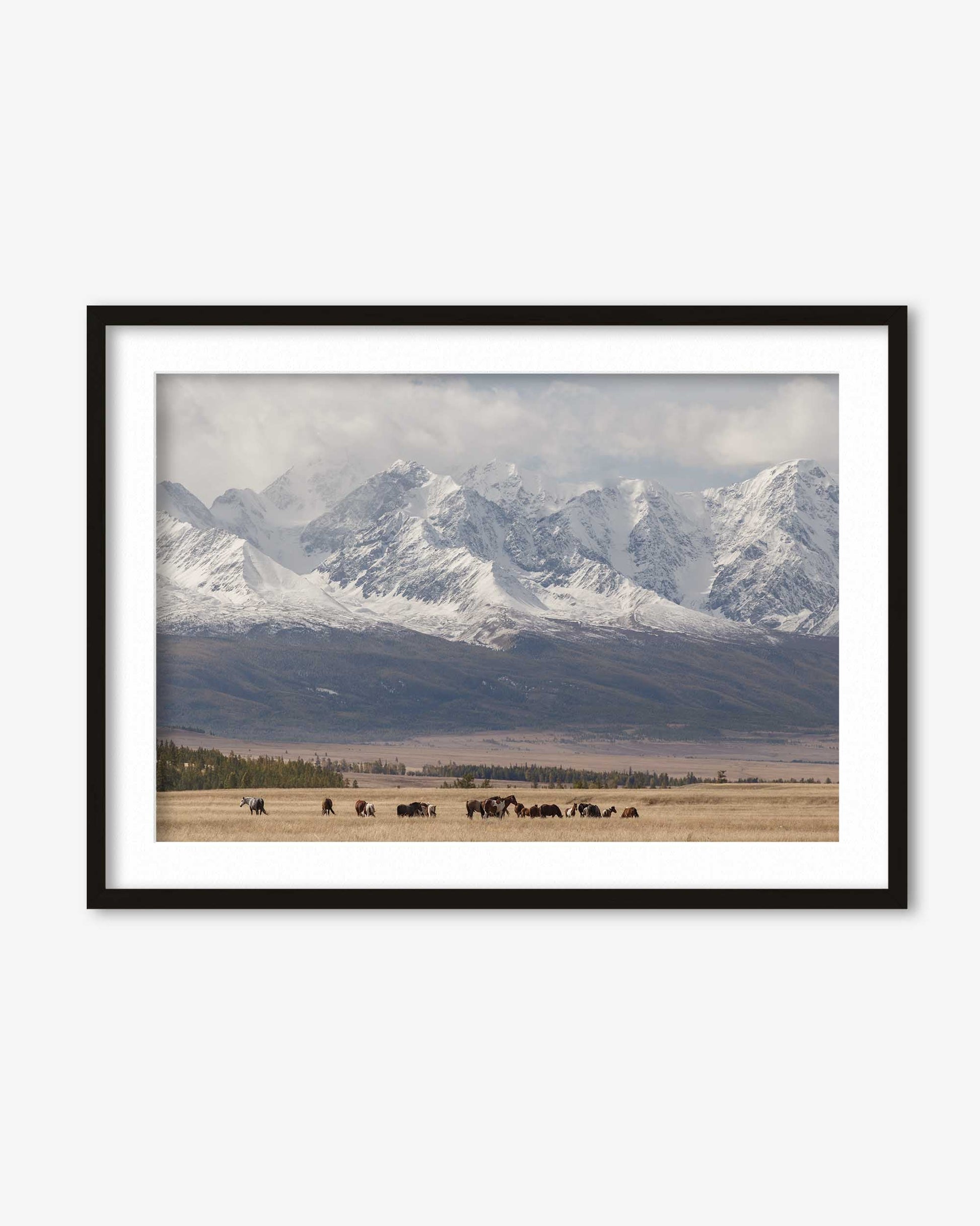 Framed photograph of a mountain landscape with snow-capped peaks and a field below.