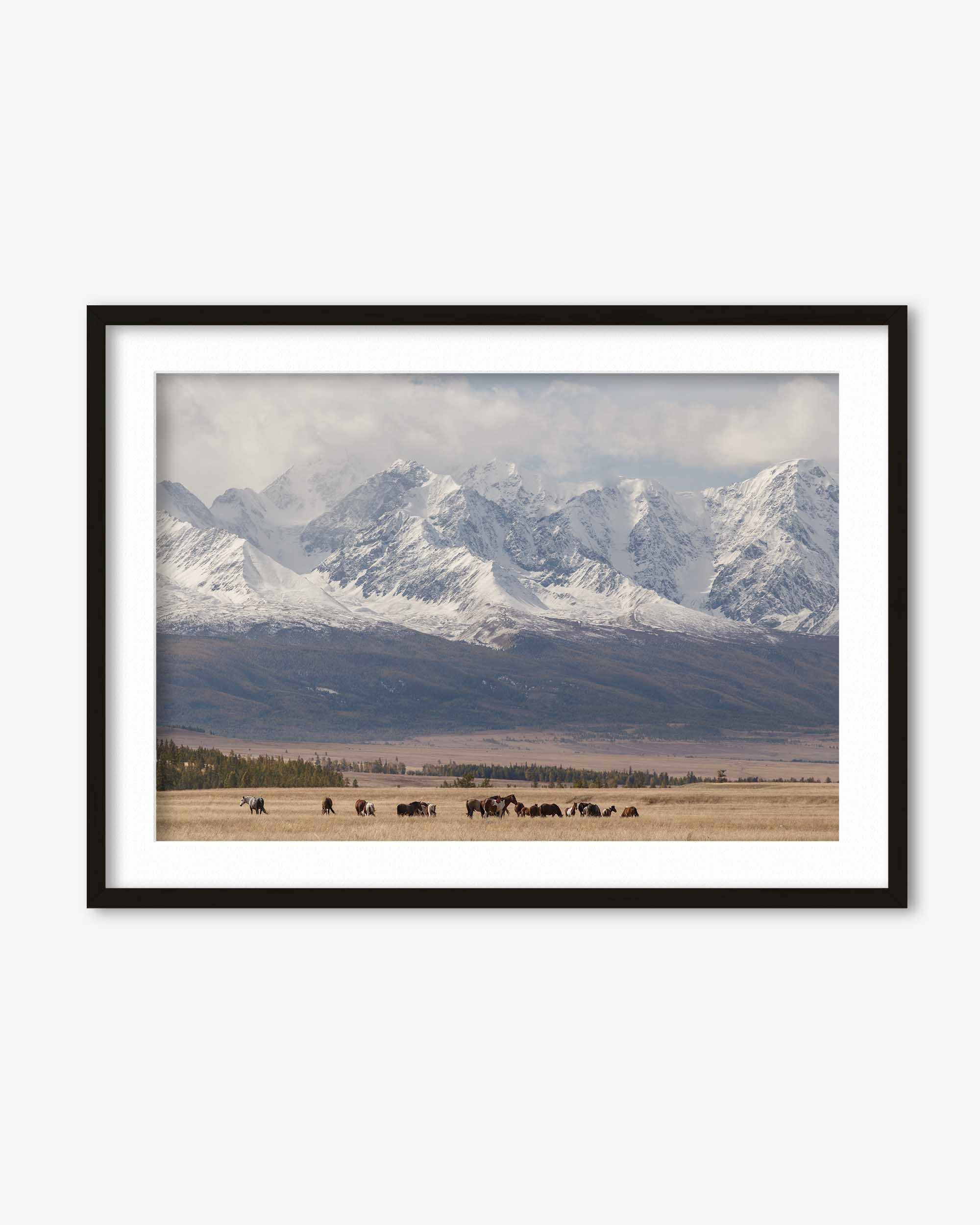 Framed photograph of a mountain landscape with snow-capped peaks and a field below.