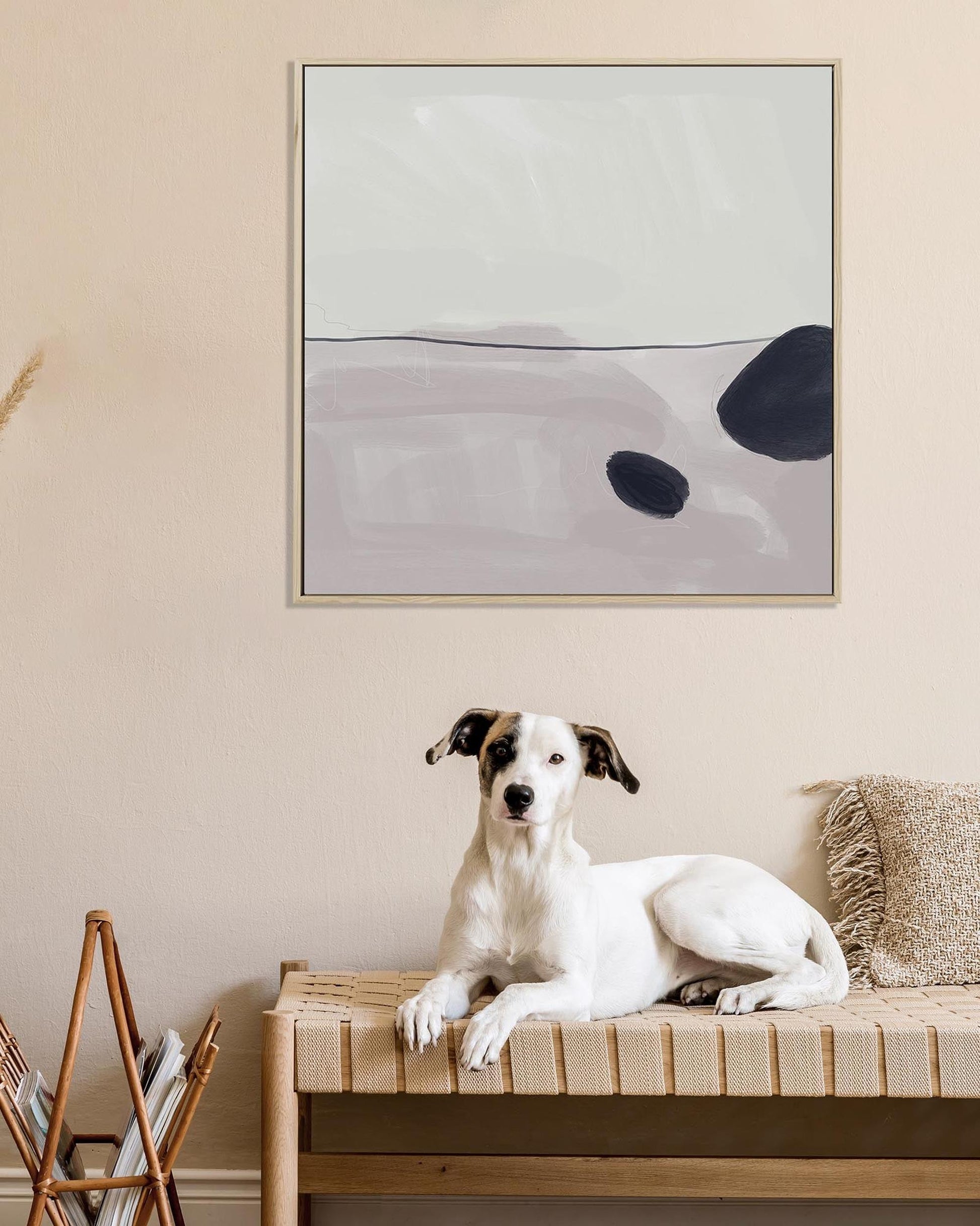 Dog sitting on a wooden bench with abstract art on the wall