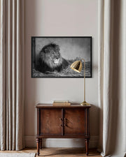 Lion's Den Art Print