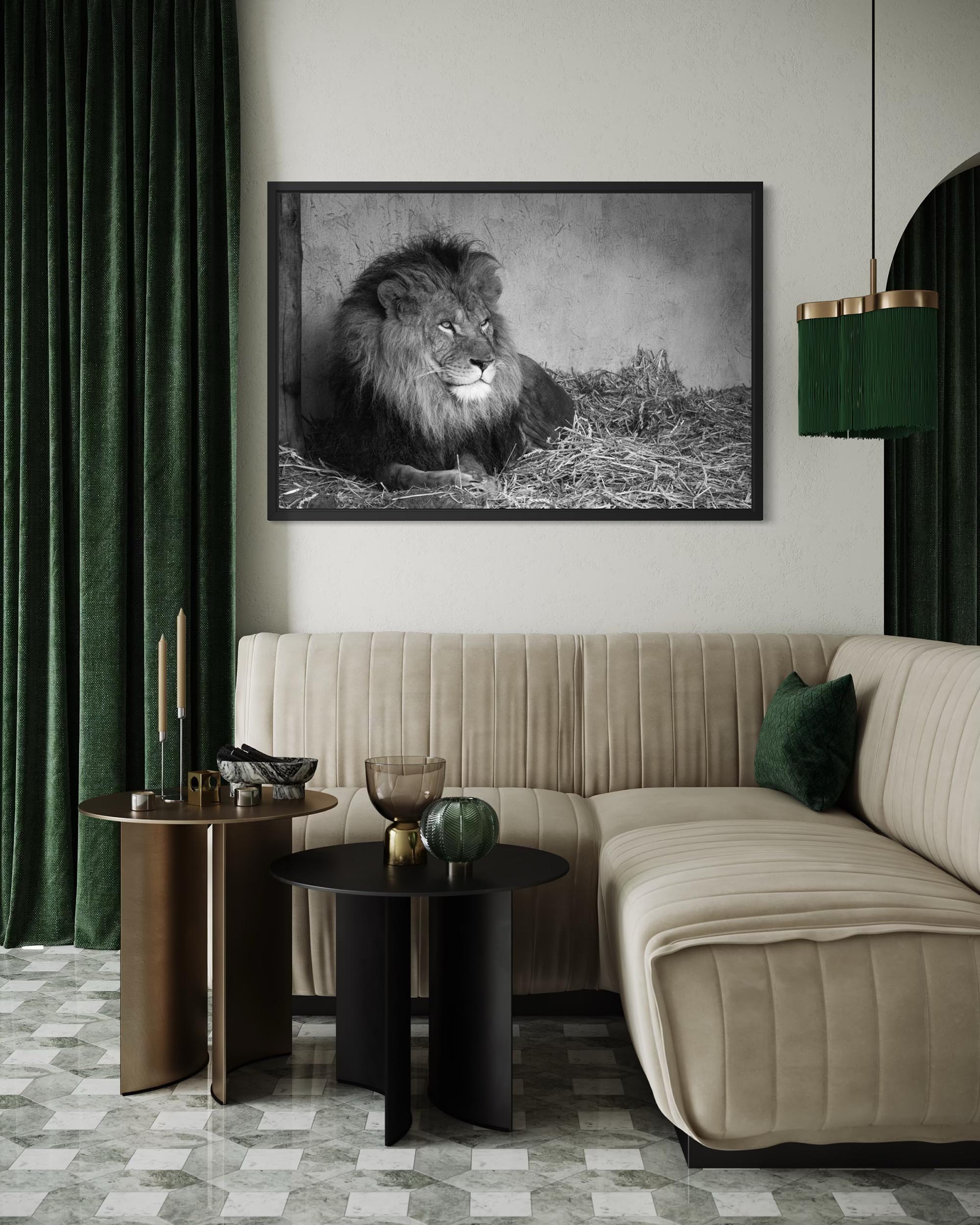 Lion's Den Art Print