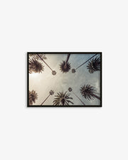 Palm Tree View Wall Art Print