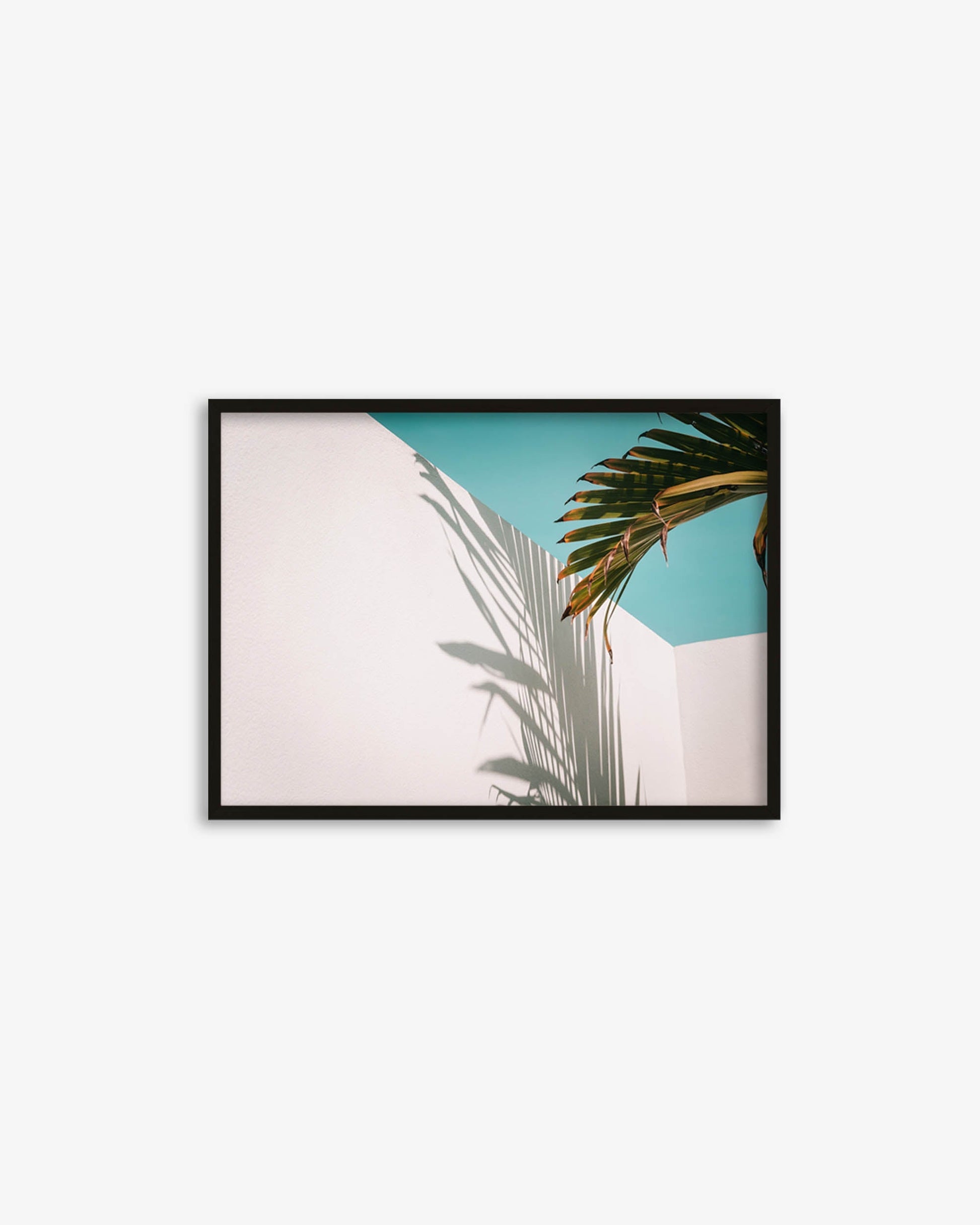 Framed artwork of a palm leaf against a blue sky on a white wall