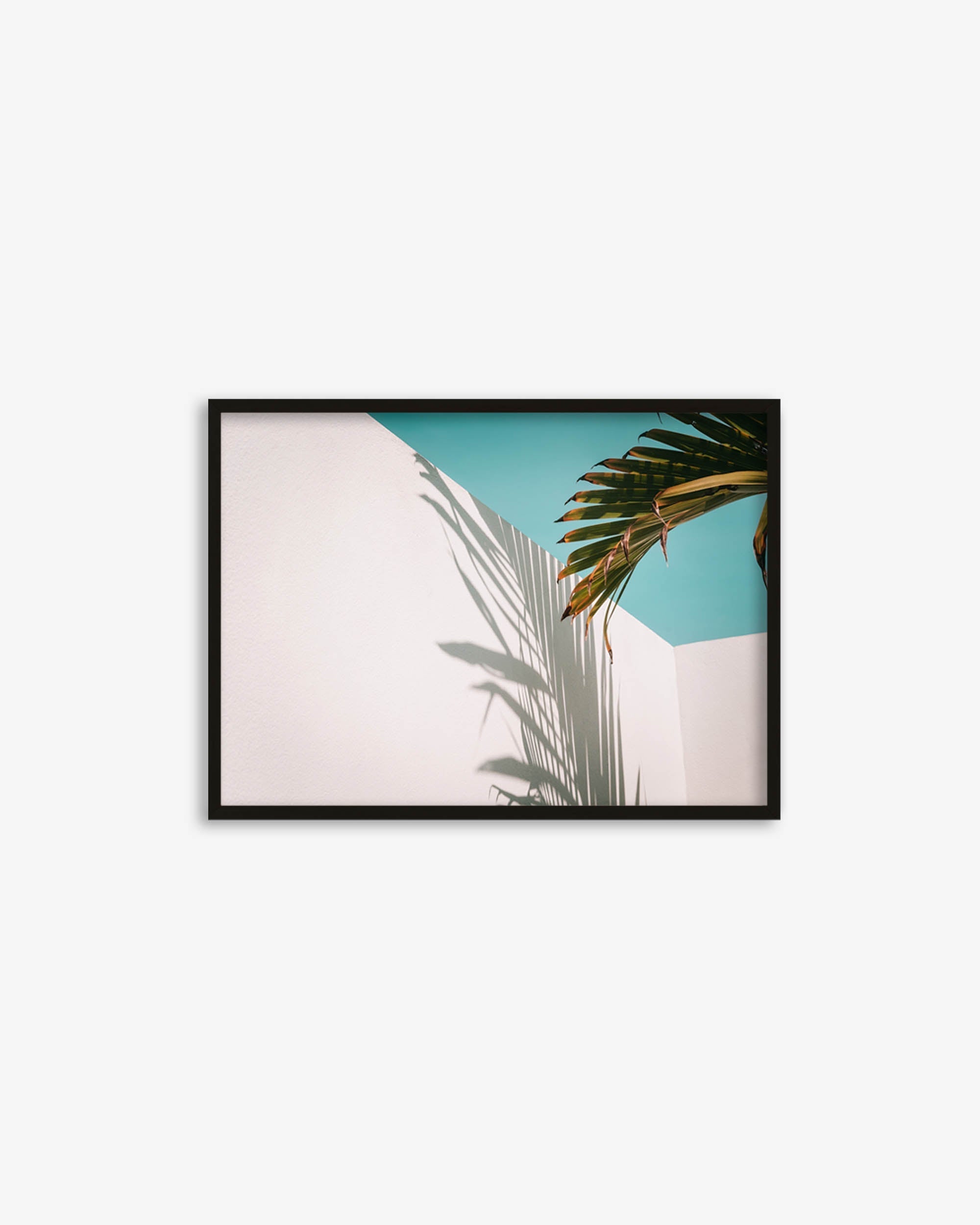 Framed artwork of a palm leaf against a blue sky on a white wall