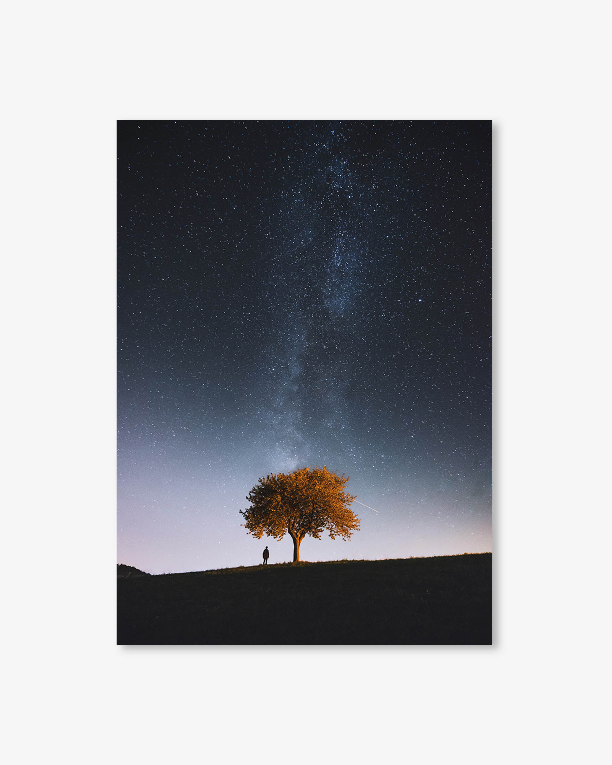 Make A Wish Art Print