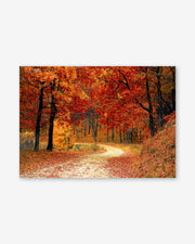Park In The Autumn Art Print