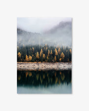 Pinecone Forest Wall Art Print