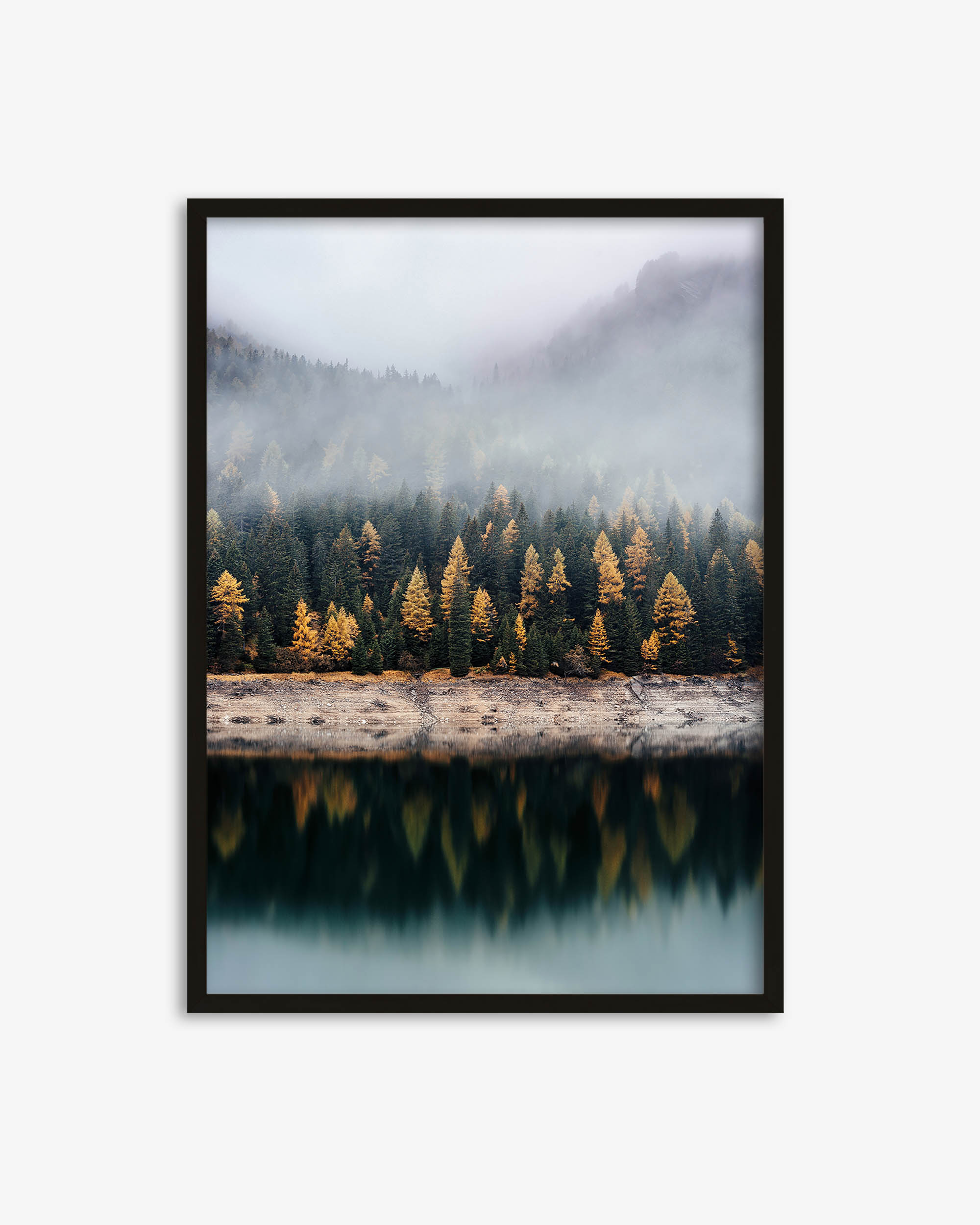 Pinecone Forest Wall Art Print