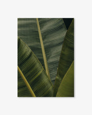 Botanical Portrait Wall Art Print