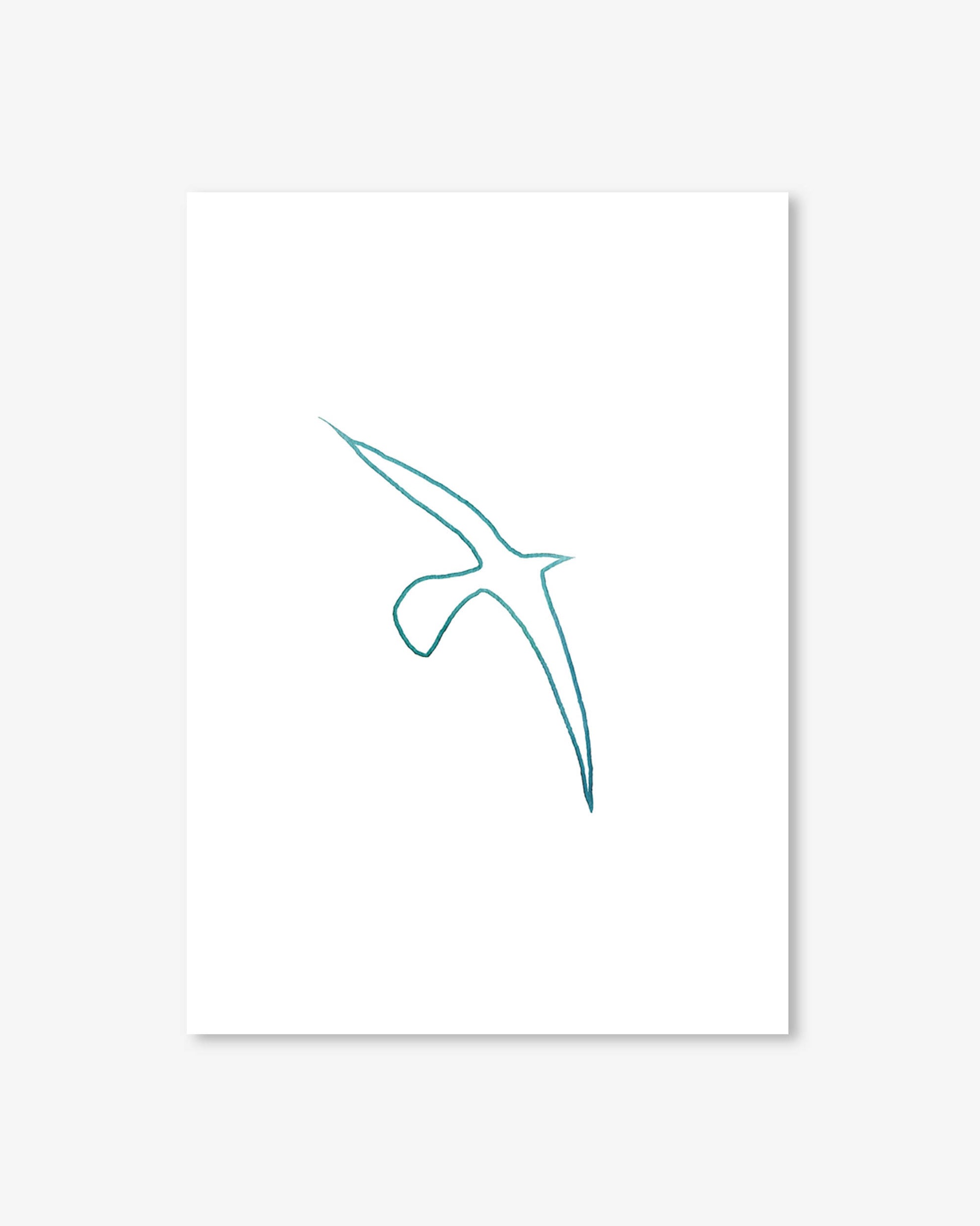Teal line drawing of a bird on a white background
